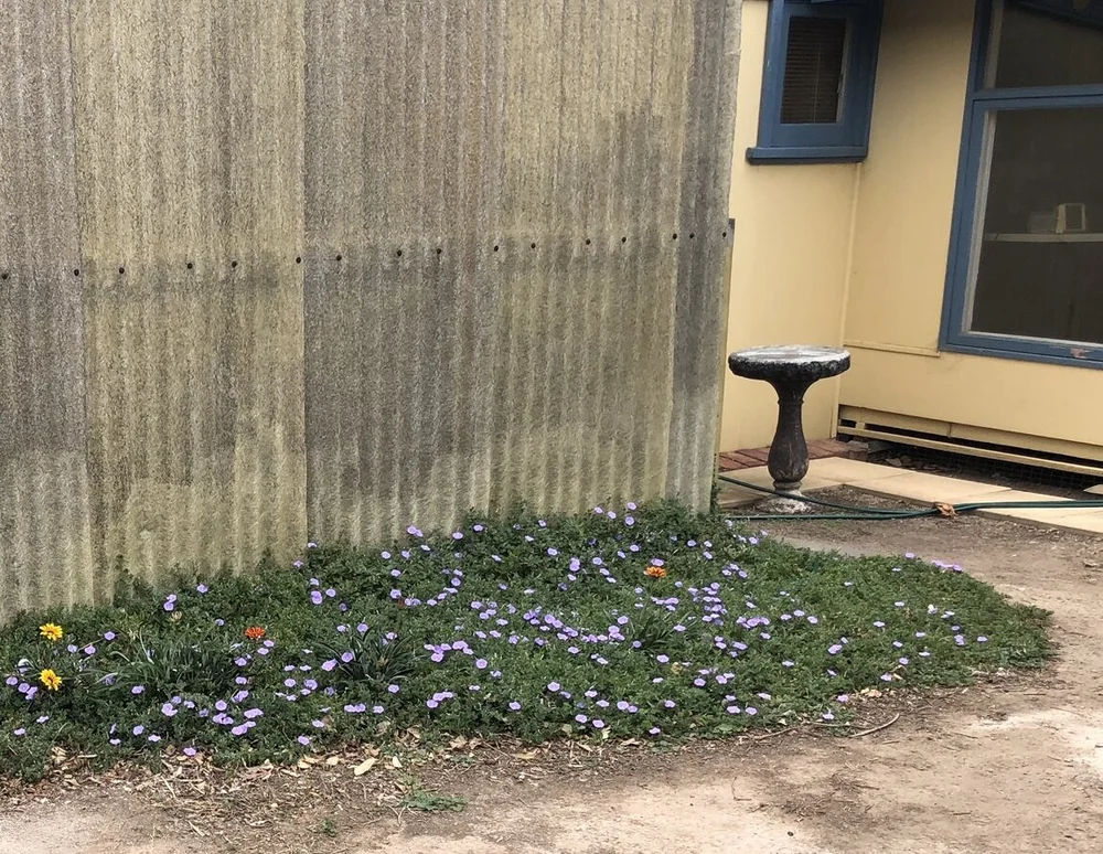 IMG_5943 - edit.JPEG