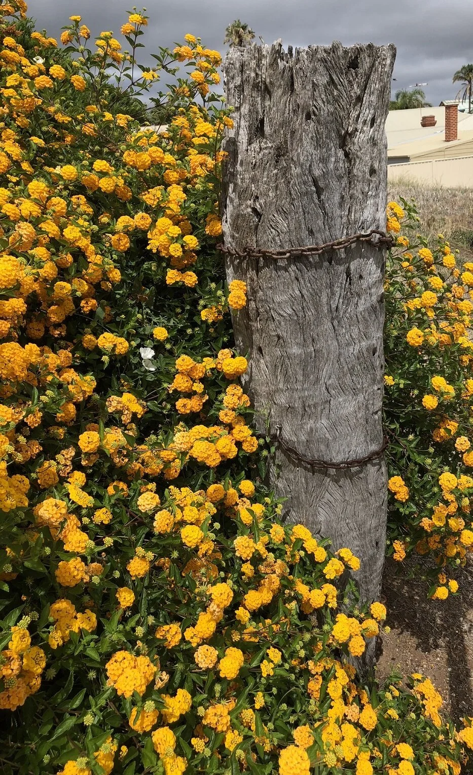 IMG_5959 - edit.JPEG