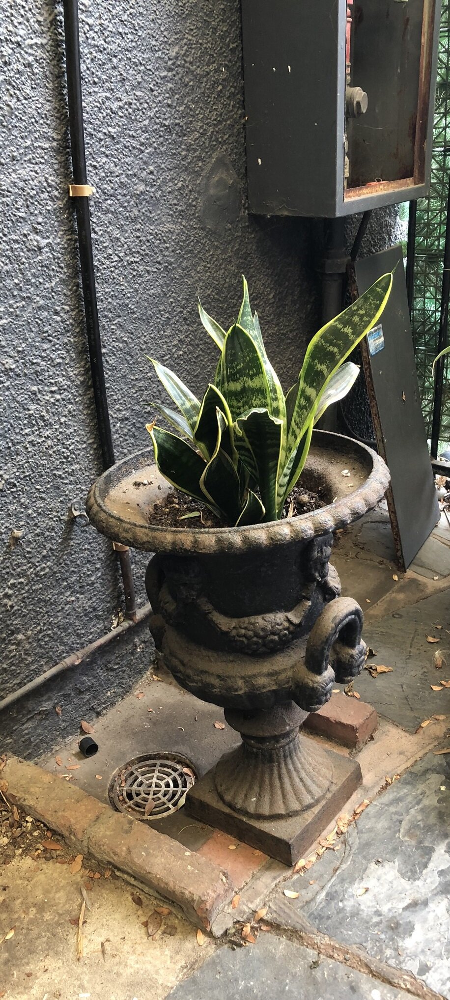 IMG_5949 - edit.JPEG