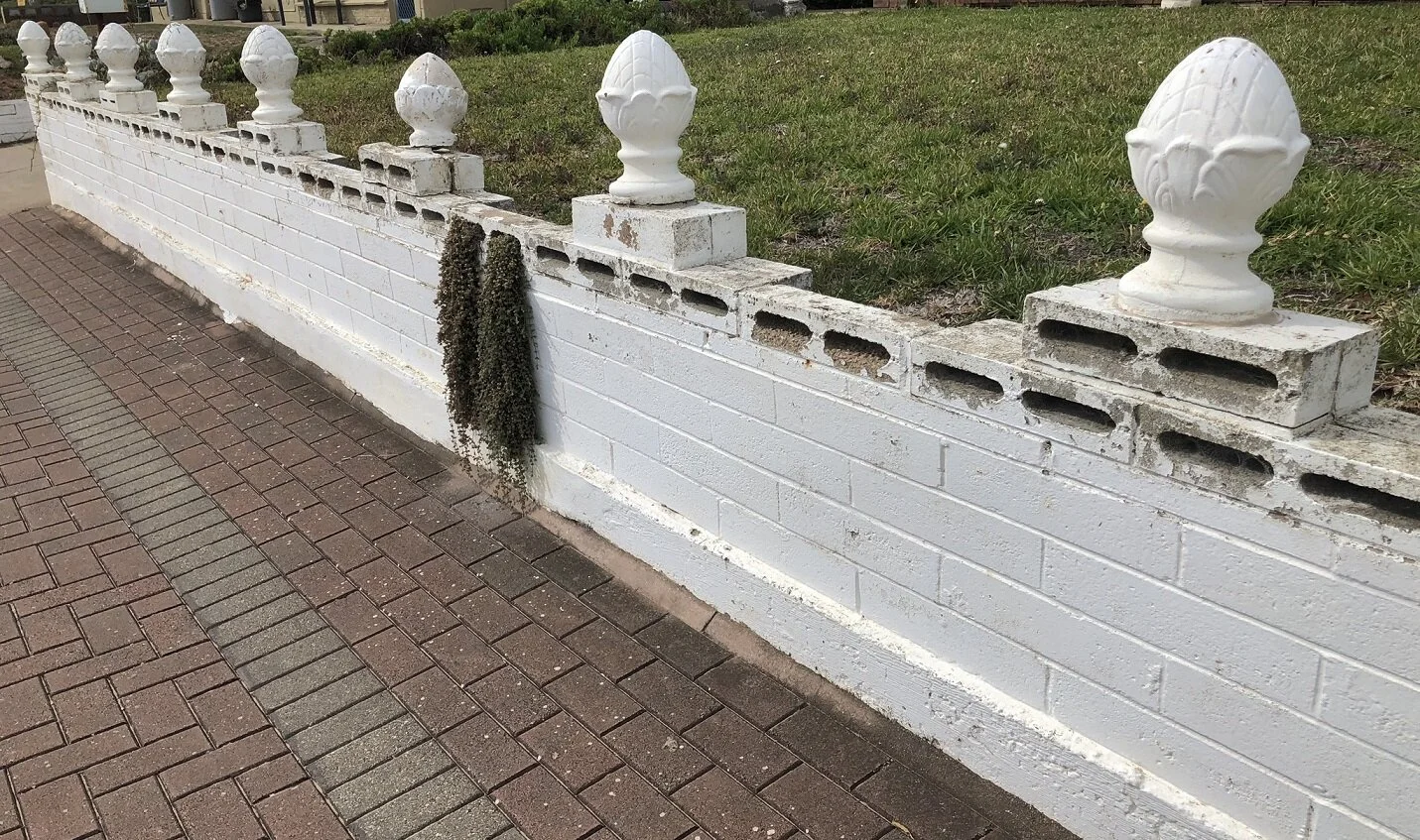 IMG_6029 - edit.JPEG