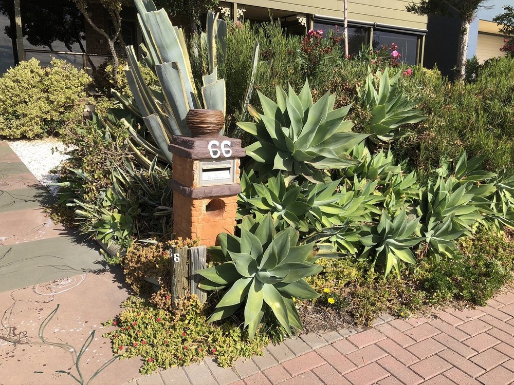 IMG_6060 - edit.JPEG