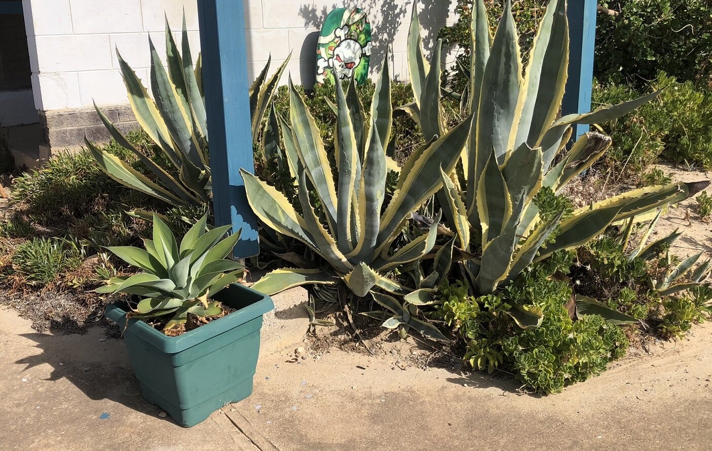 IMG_6075 - edit.JPEG