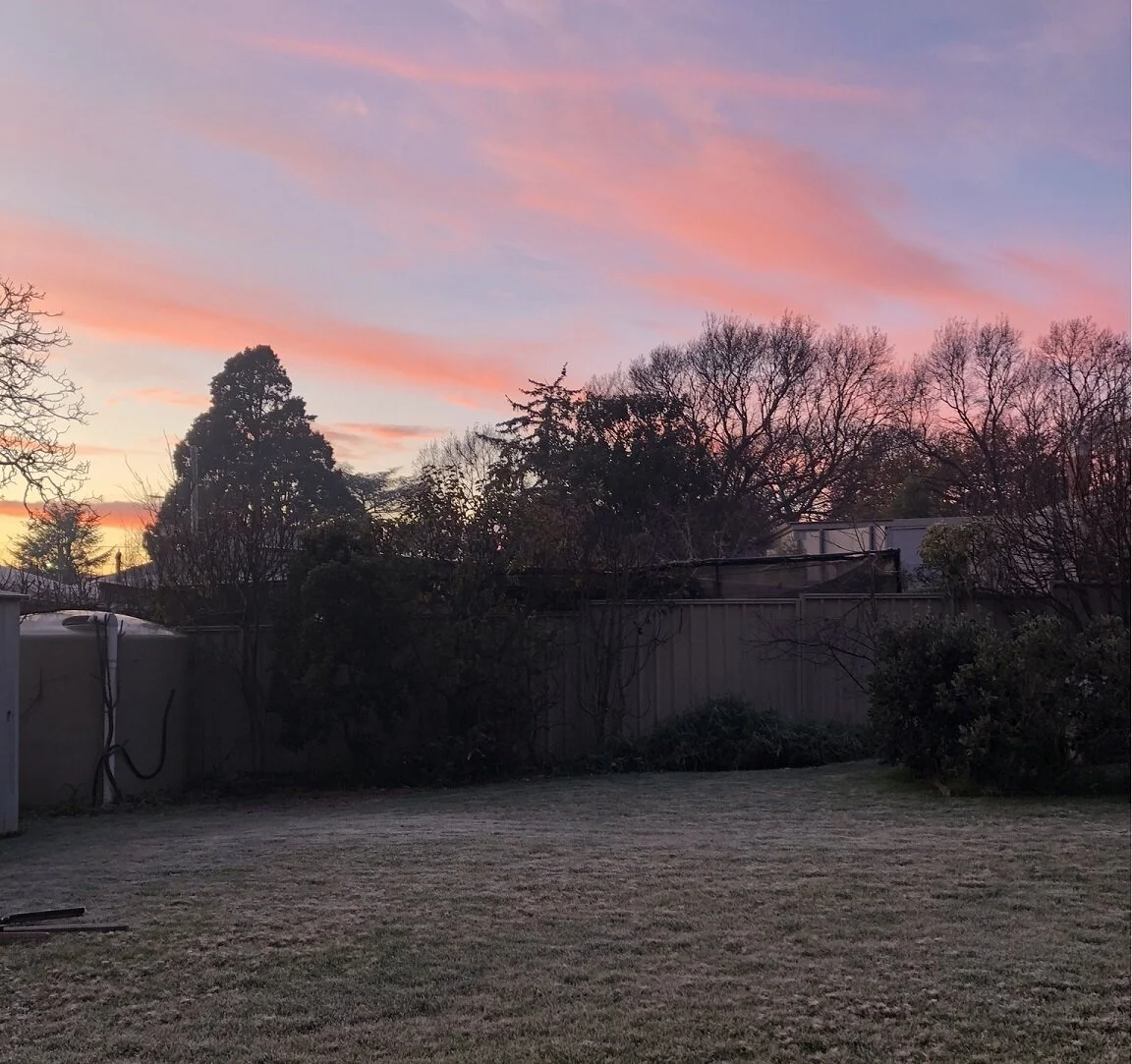 Frostwatch II: Ornamental