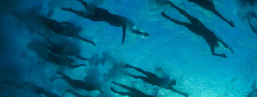 Open water swimming - Yorkeys Knob