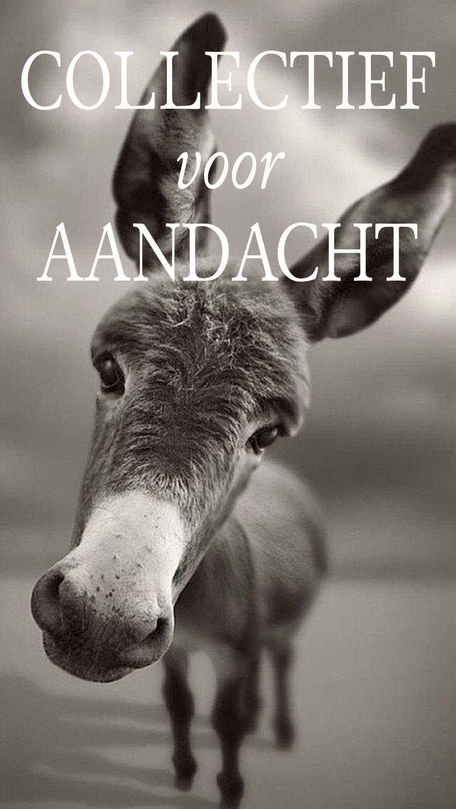 Collectief voor Aandacht 3 April '25 