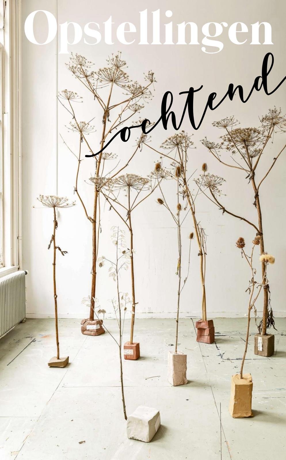 Opstellingen Ochtend vrijdag 21 november '25   