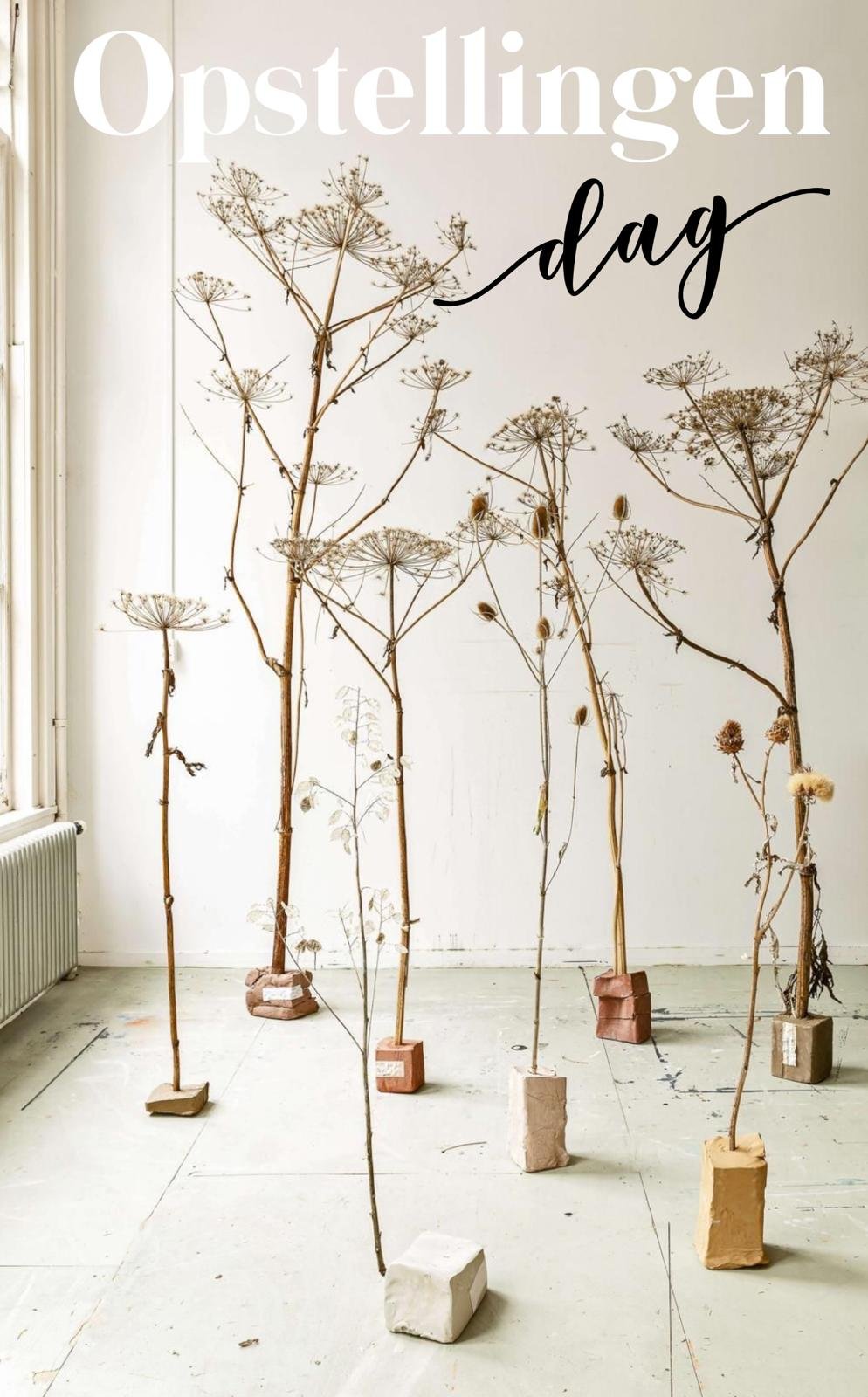 Opstellingen Dag donderdag 19 maart '26