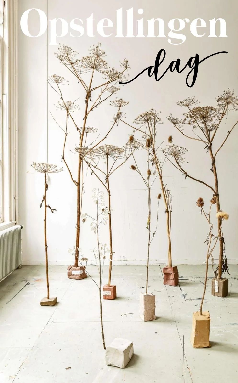 Opstellingen Dag vrijdag 10 april '26