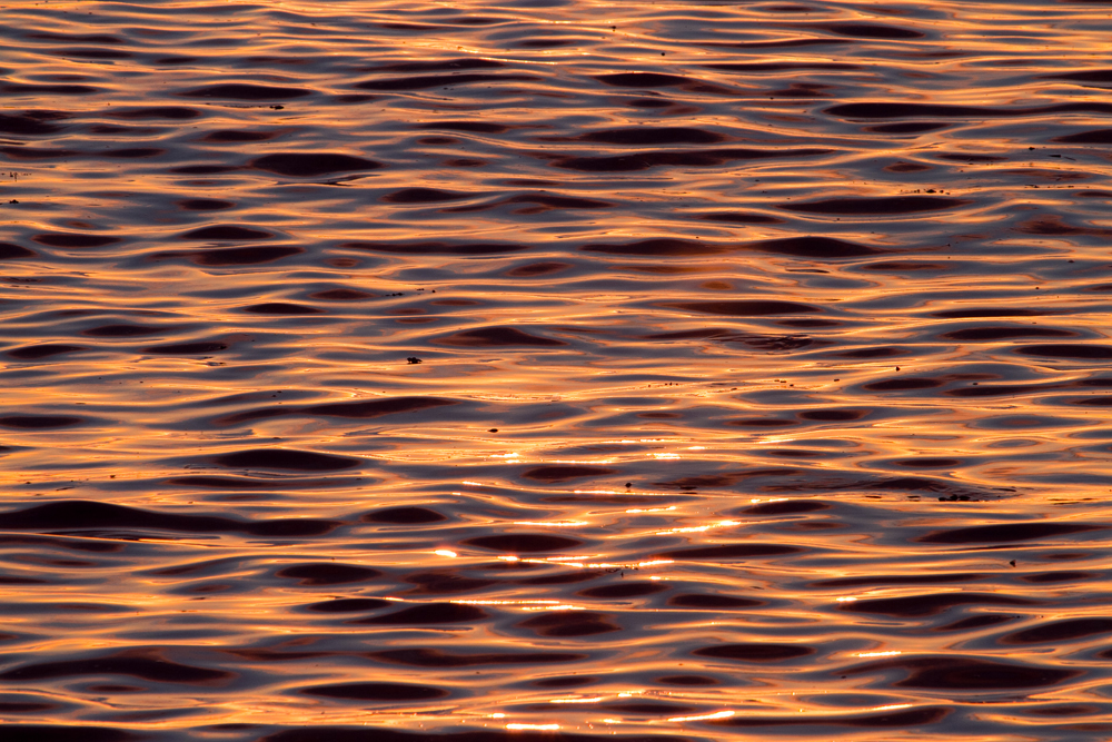 water3-screensize.jpg