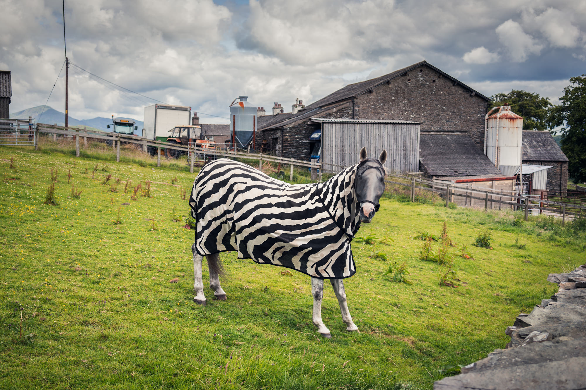 170626_Cumbria-0286-Edit.jpg