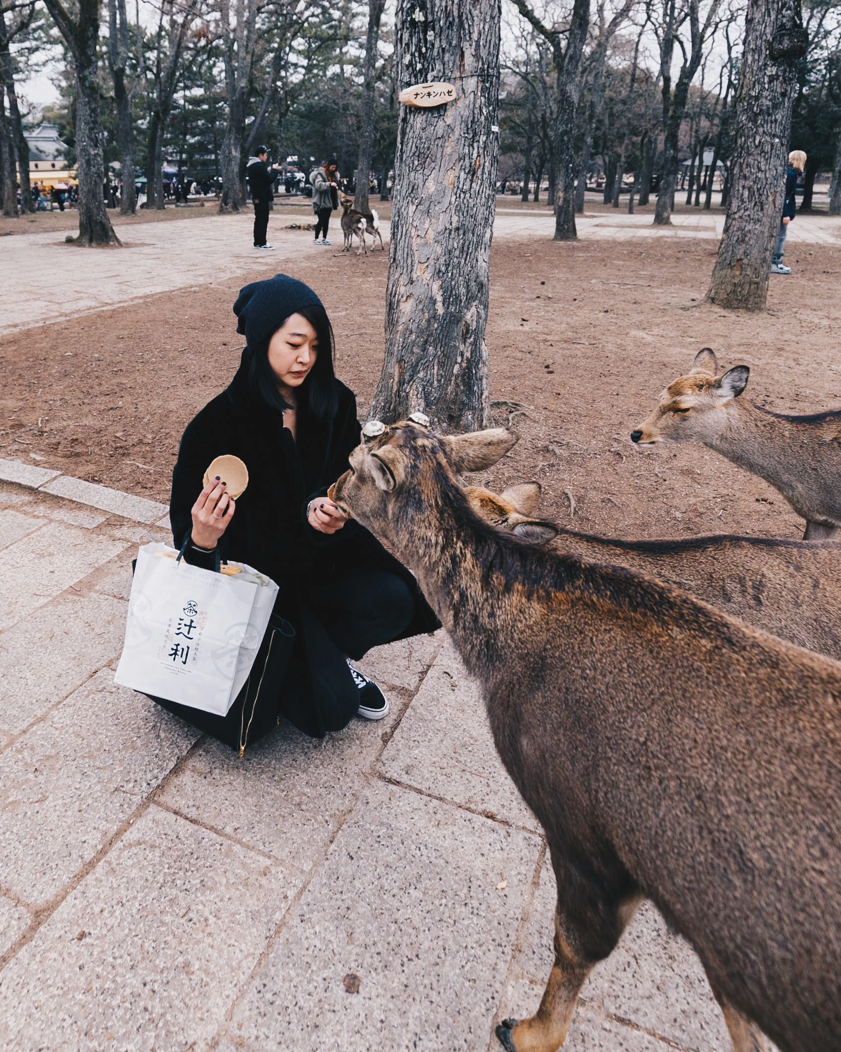 lichipan_PrinceGallery_Takanawa-51.jpg