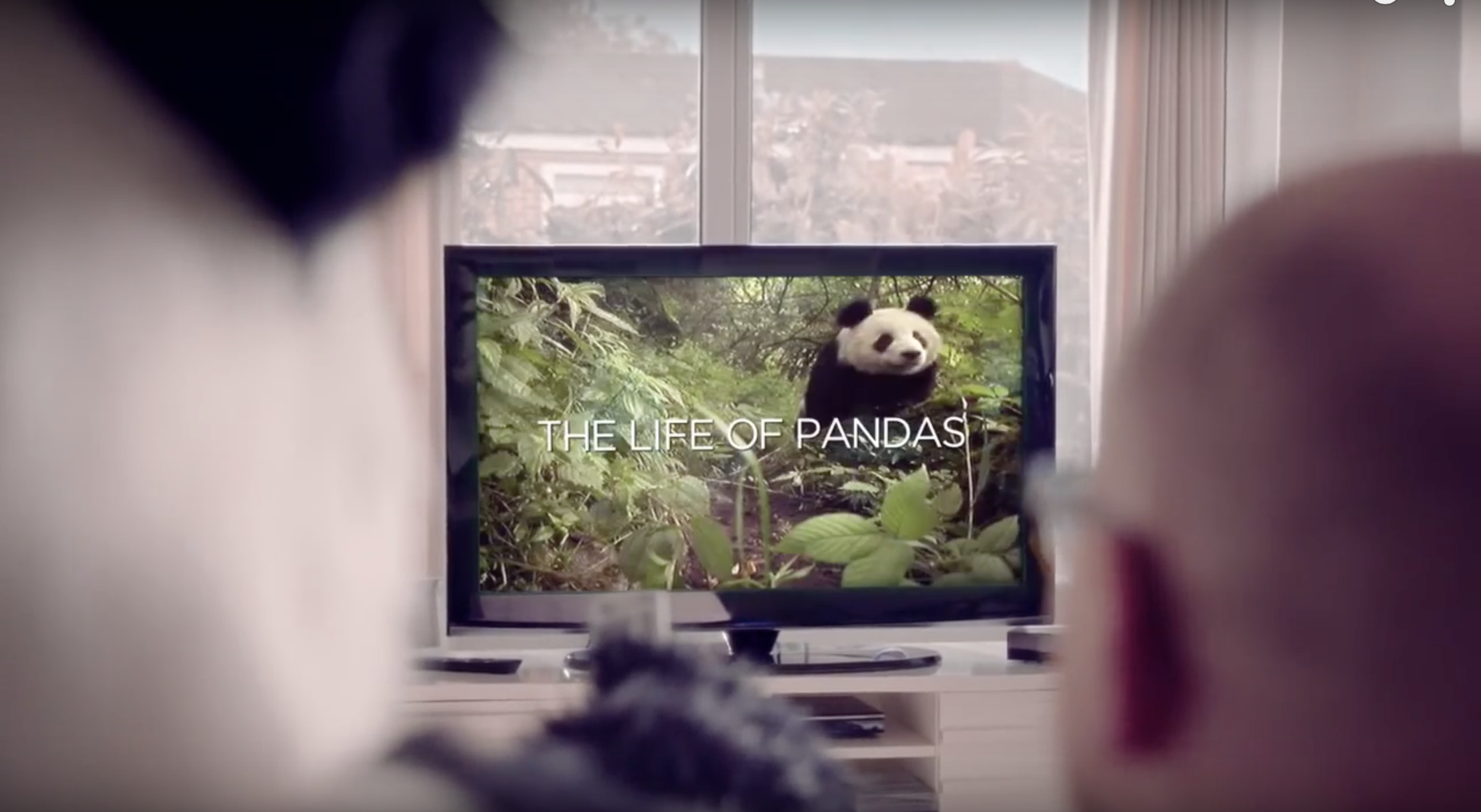 Screen Shot 2015-11-24 at 12.19.29.png