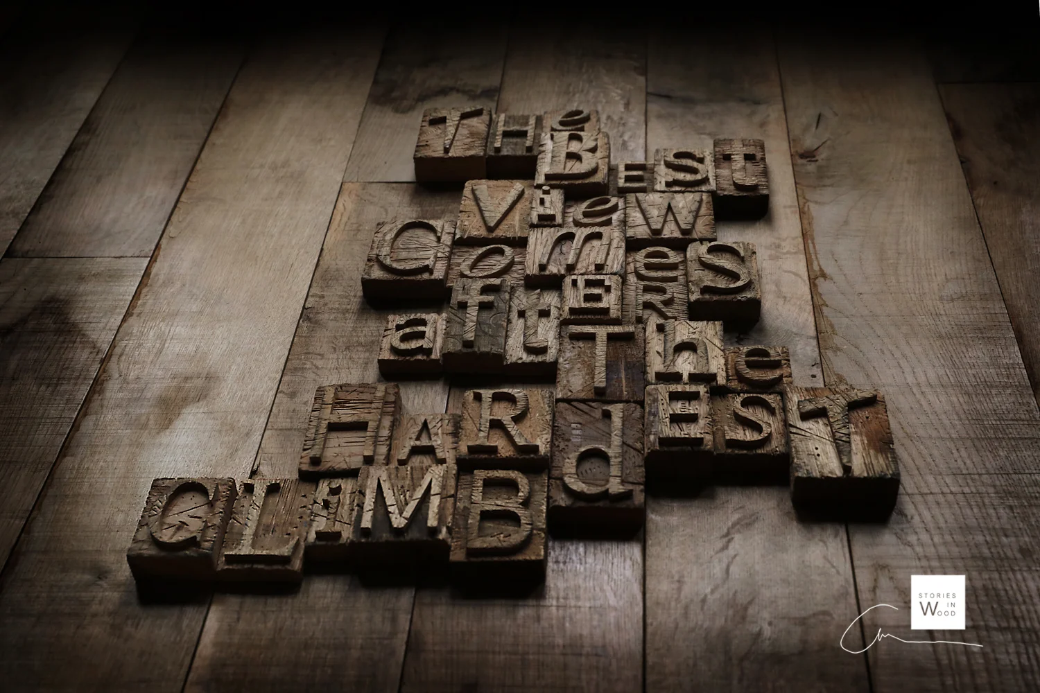 The best view comes after the hardest climb.jpg