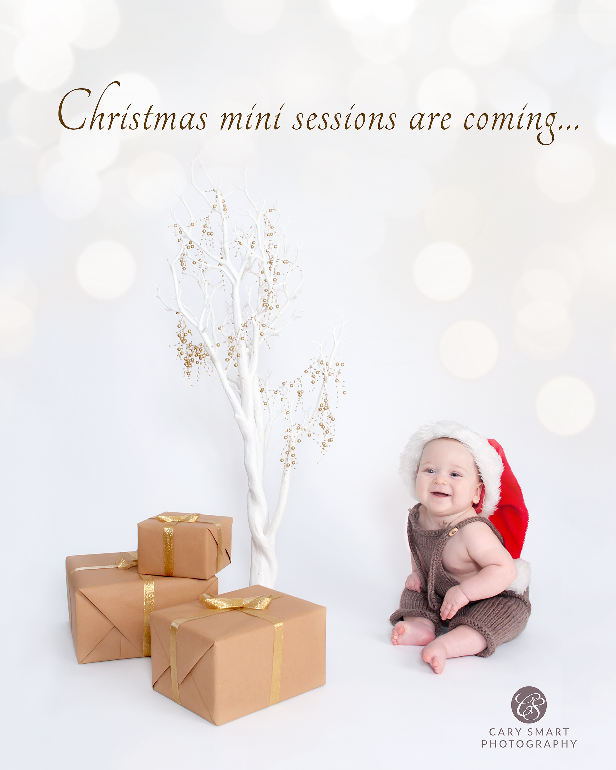 Christmas Mini Shoots Newport.png