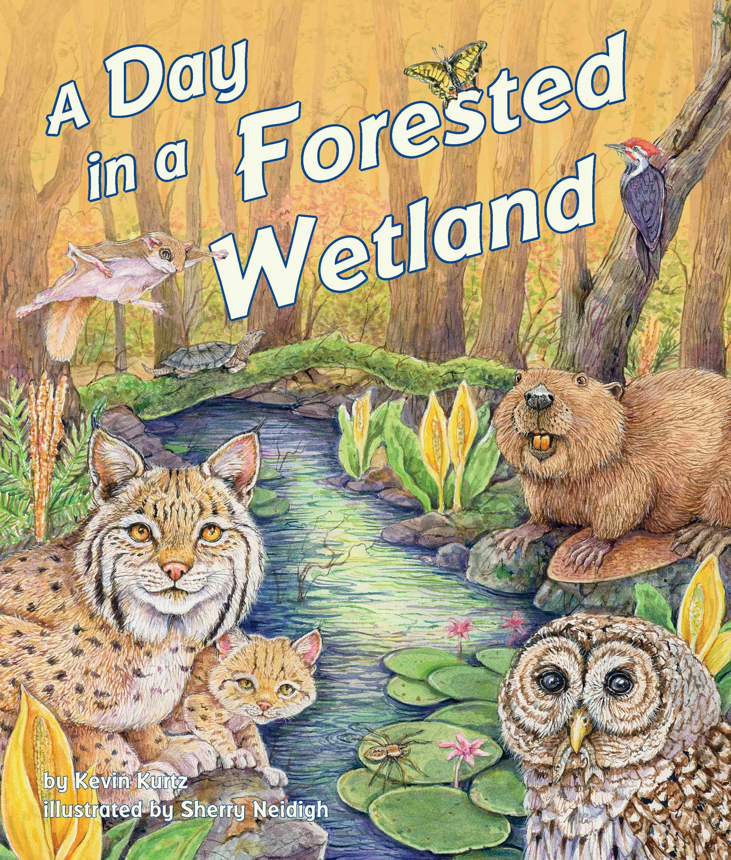 DayForestWet_lower res.jpg
