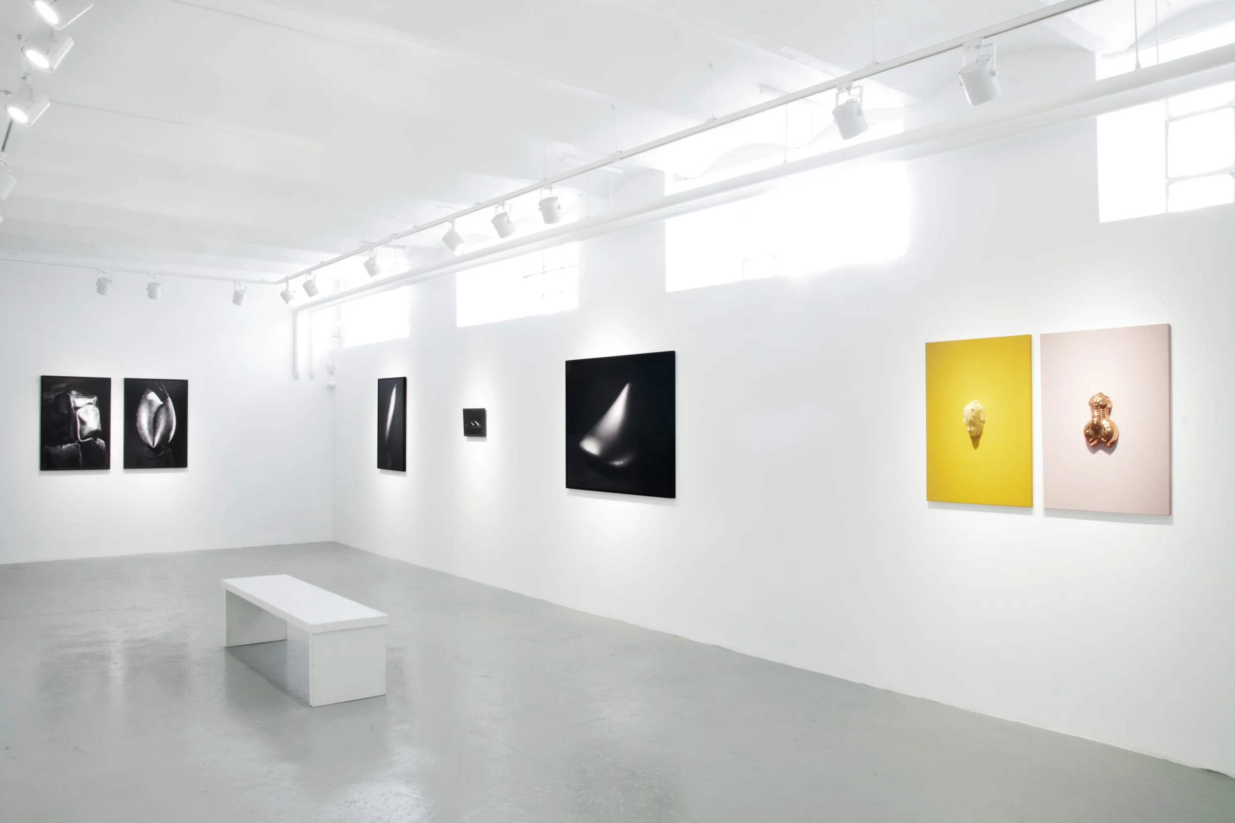 Galleri VasliSouza 2013