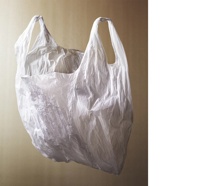 bag.jpg