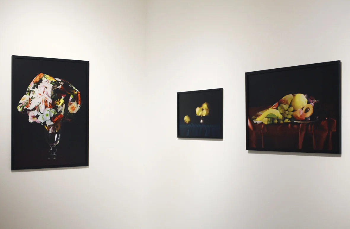 21st Century Still Life- exhibition at Galerie Le Magasin de Jouets, Arles, France.