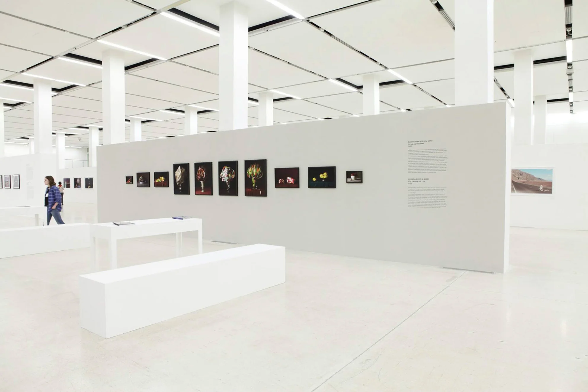 Moscow Multimedia Art Museum, Central Exhibition Hall Manege, Photography Biennale 2017, Circulation(s), Curators Marion Hislen and Anna Zaitseva