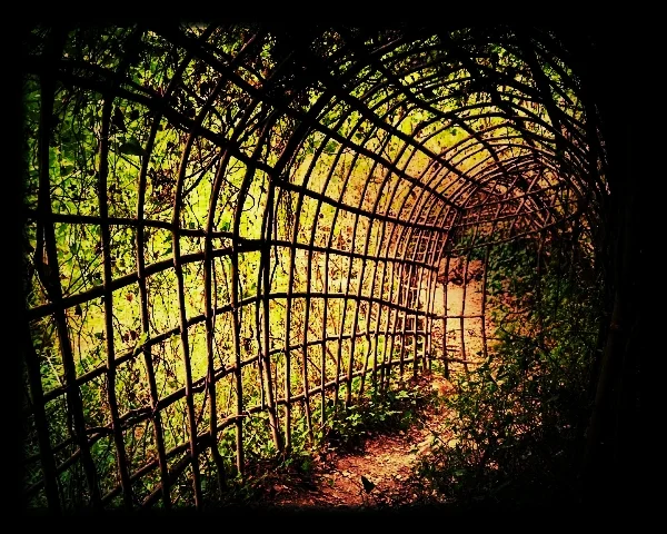 maze5.jpg