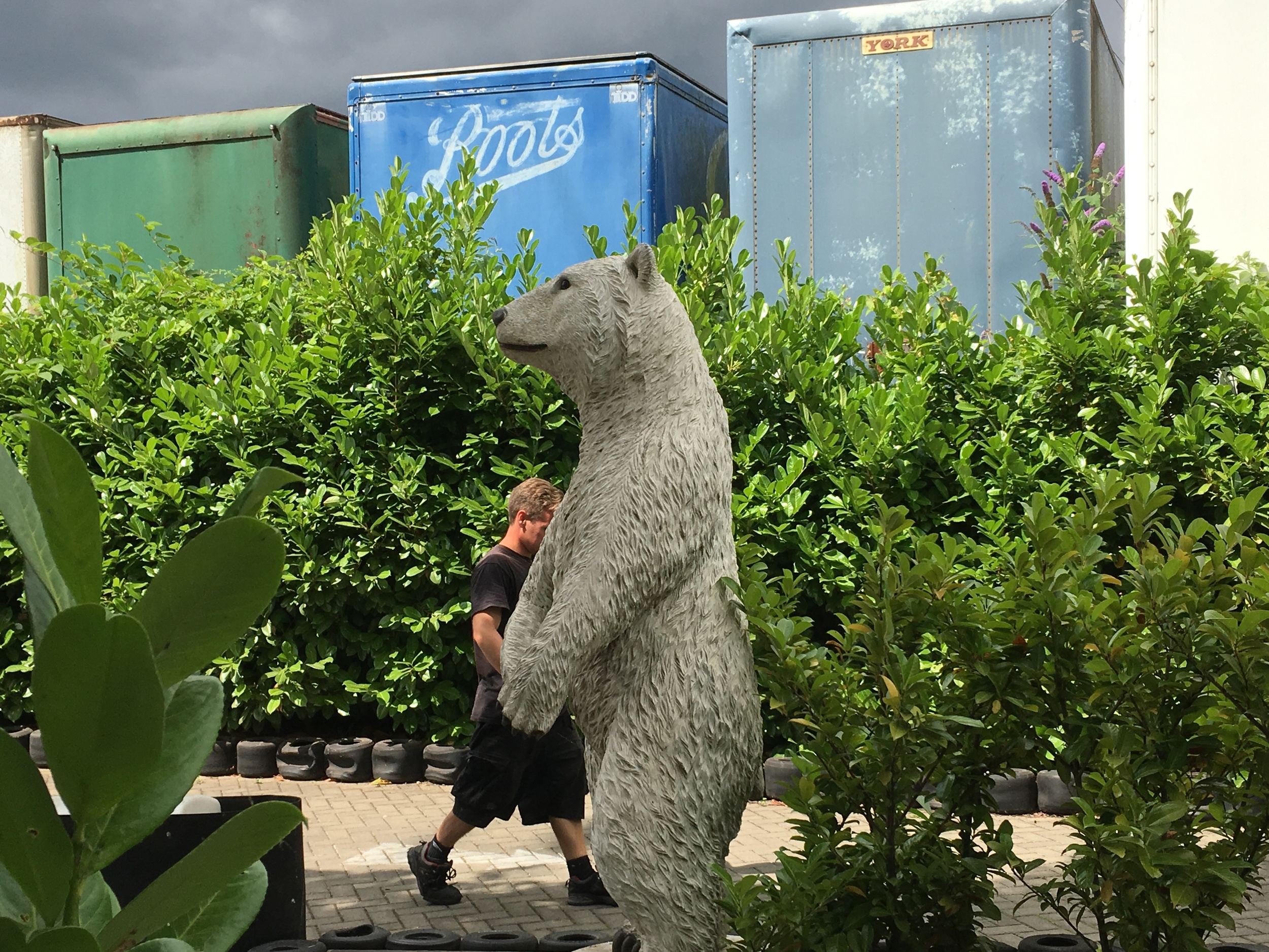 Why? Why is there a polar bear in the middle of the race track?