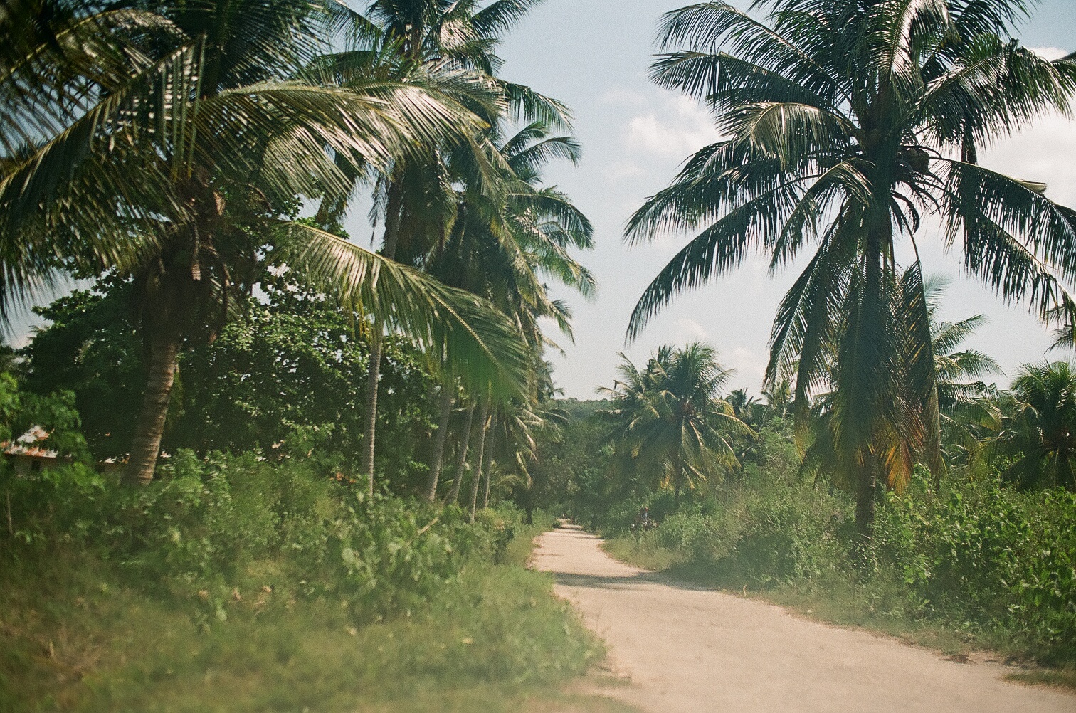 Sumba, Indonesia. 2010