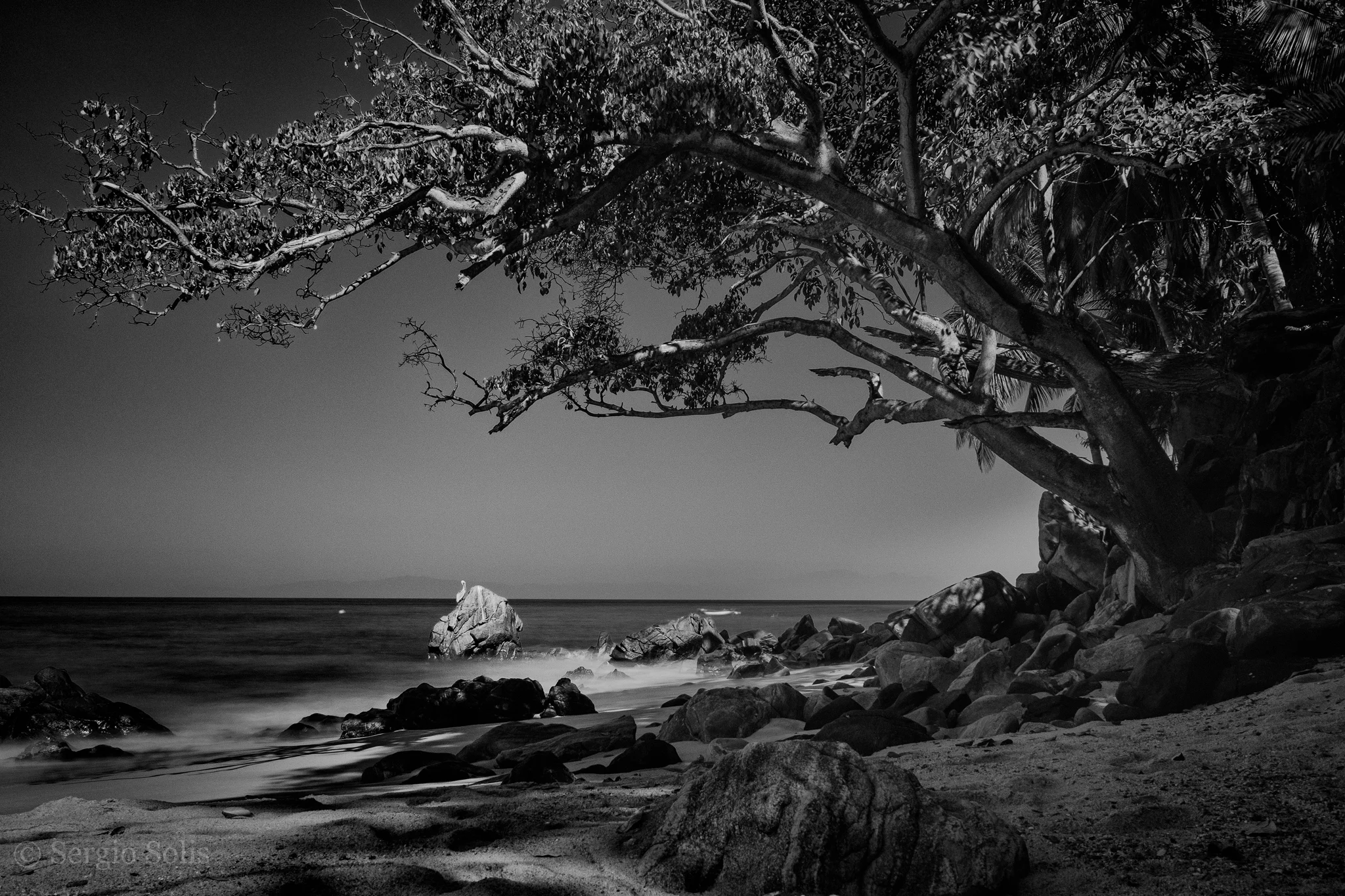 _SOL0460-Edit.jpg