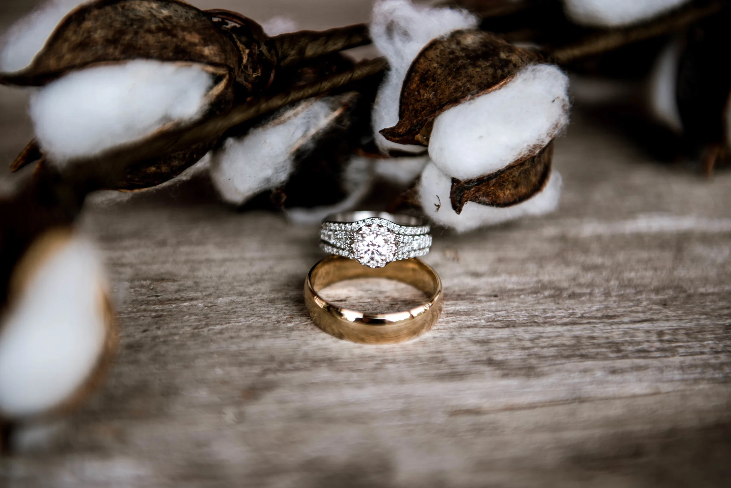 HollyandBrandonWedding(7of141).jpg