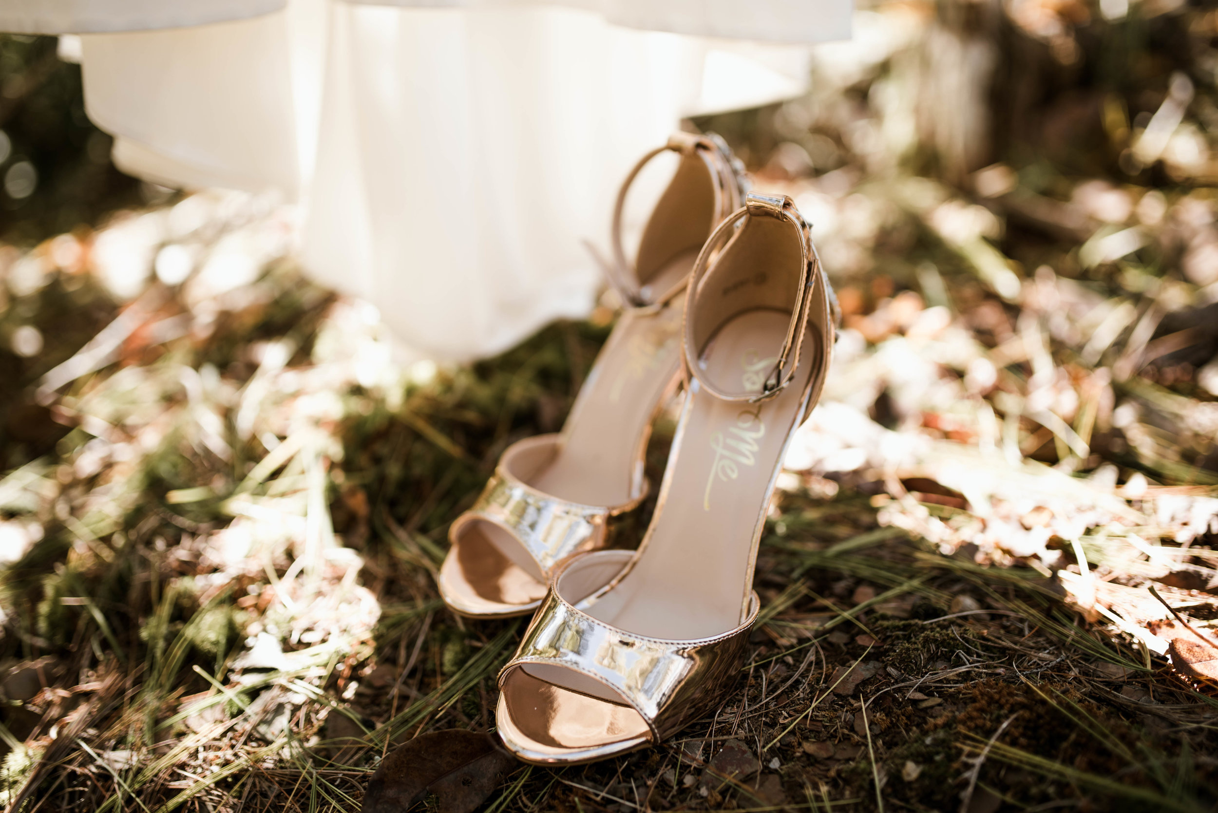 edwardswedding-7.jpg