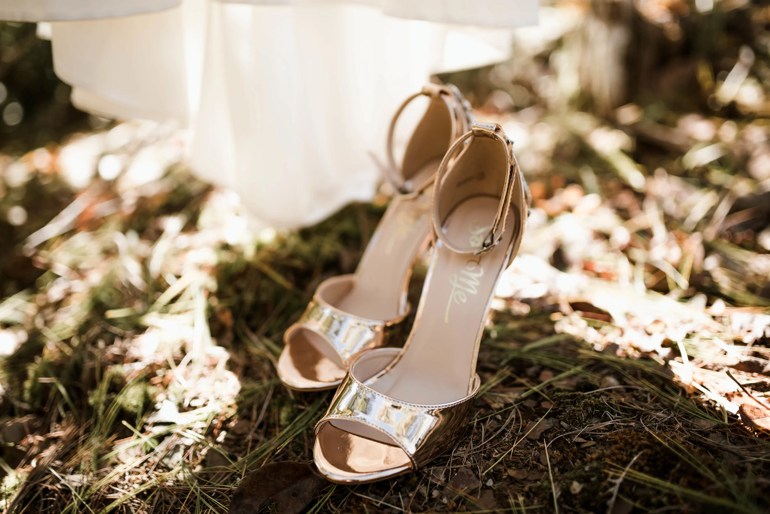 edwardswedding-7.jpg