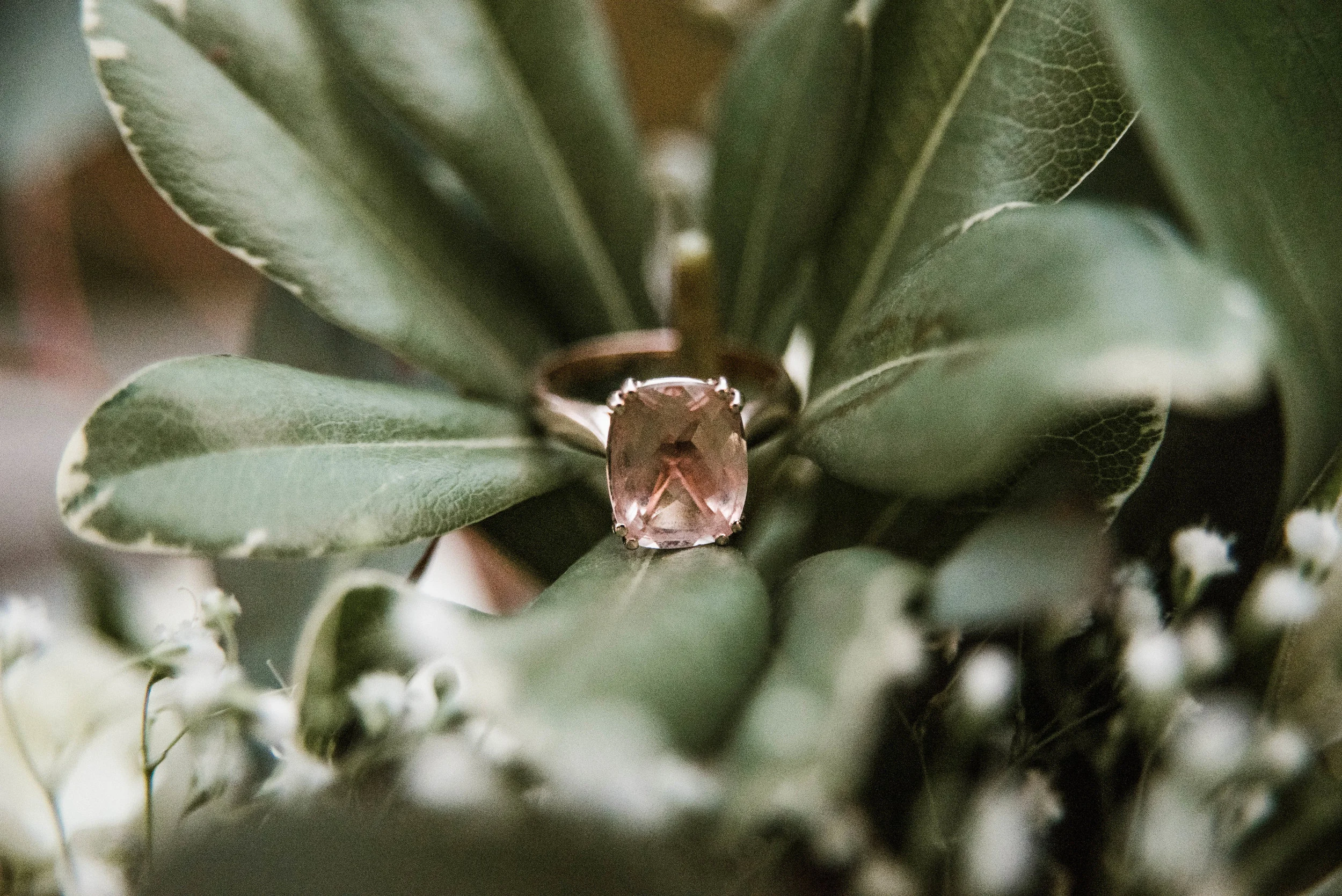 edwardswedding-436.jpg