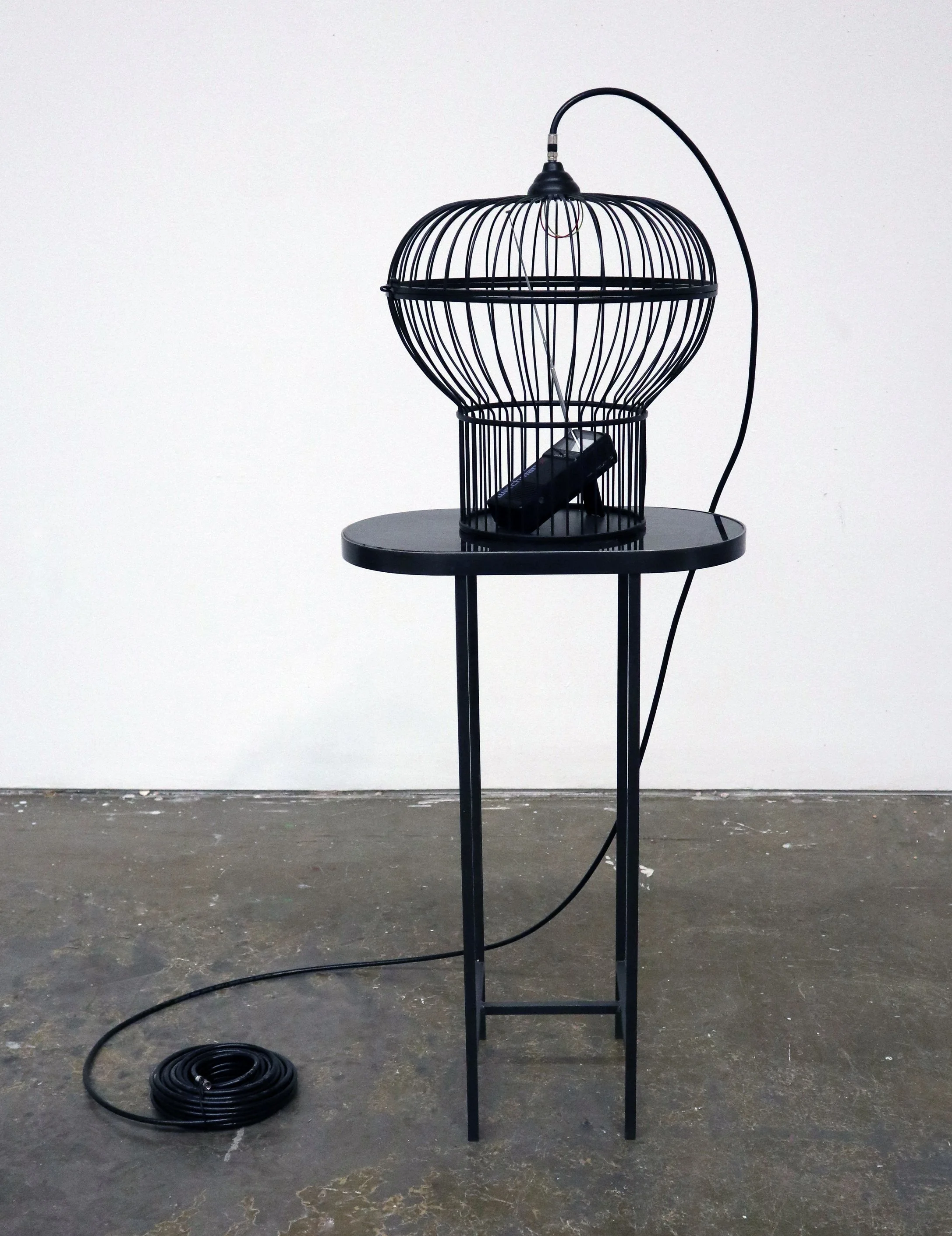 Transmission Cage No. 1 (2022)