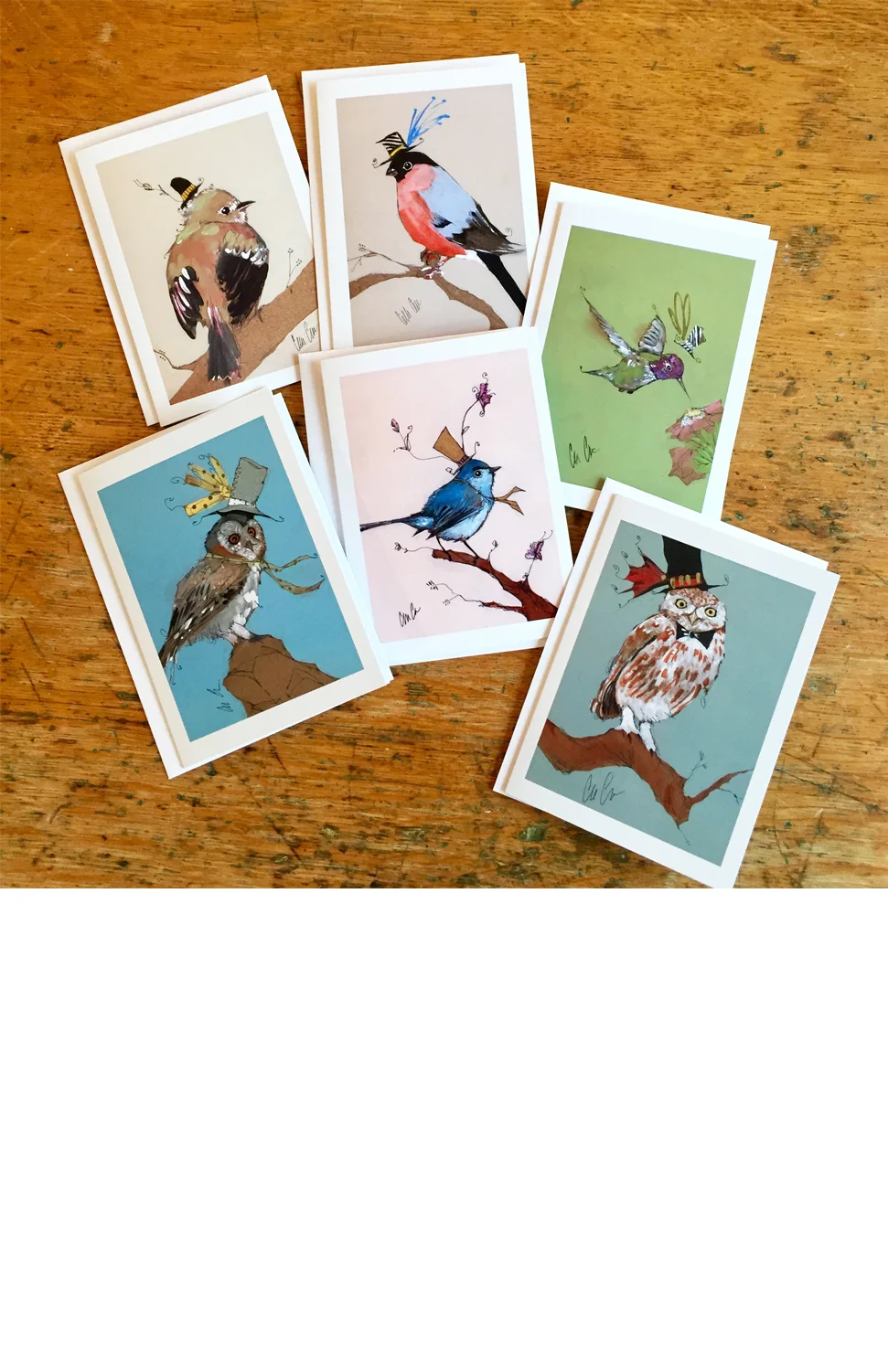 Bird Card Pack.jpg