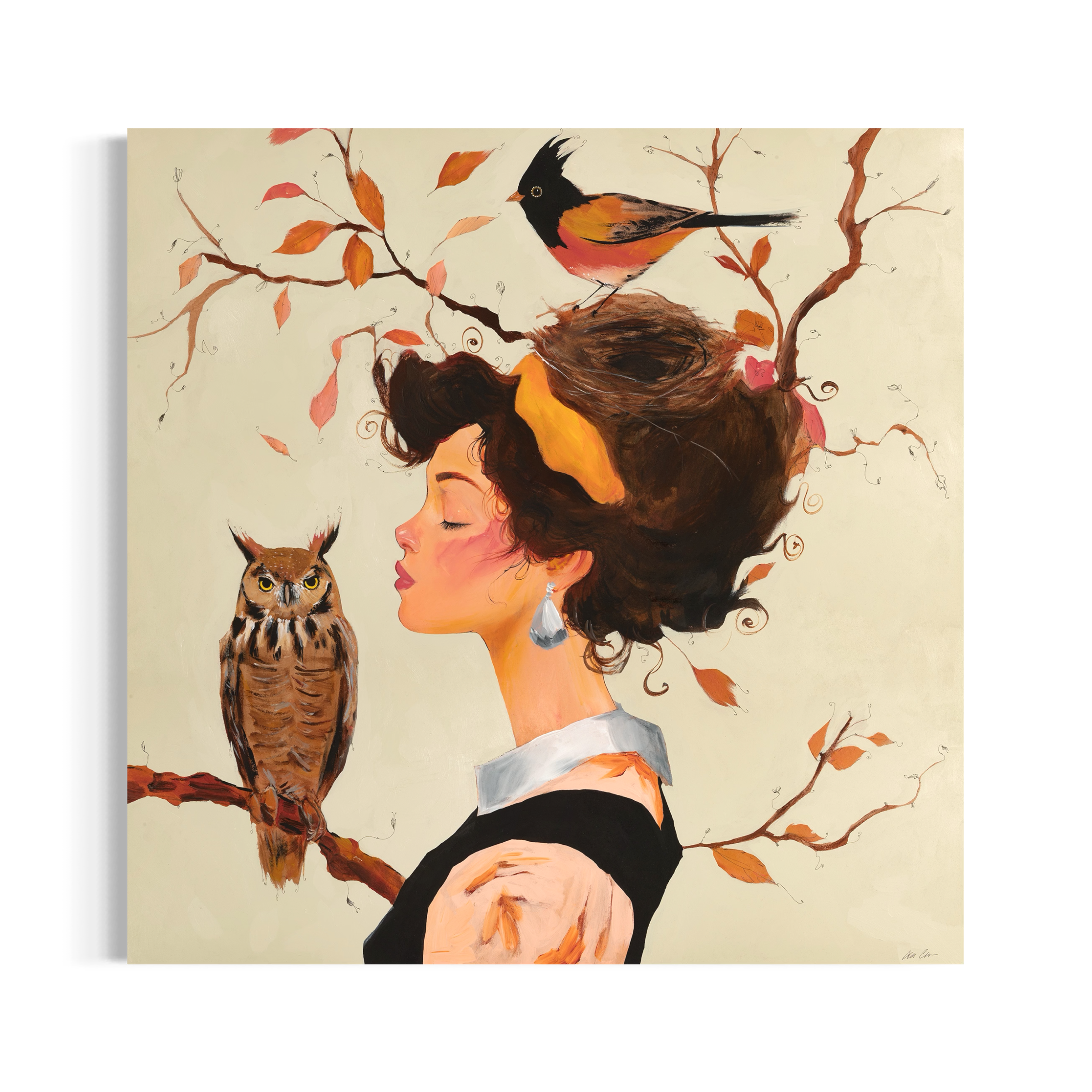 The Owl and the Nest