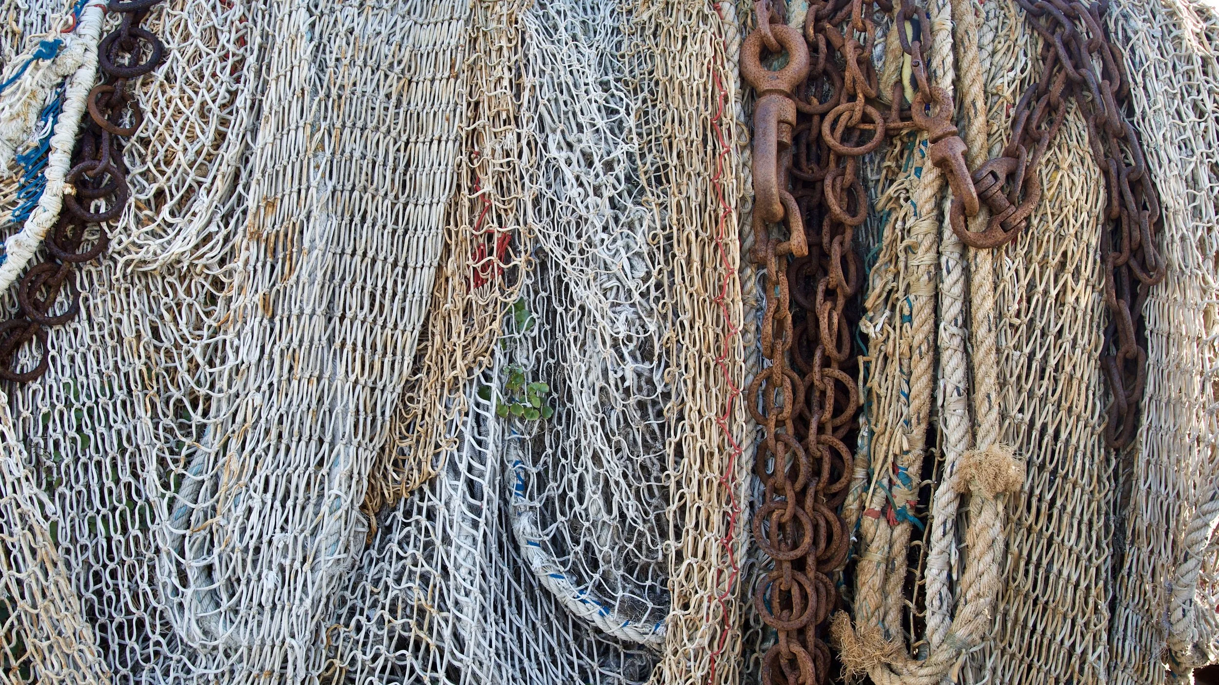 Abandoned Nets - Honfleur
