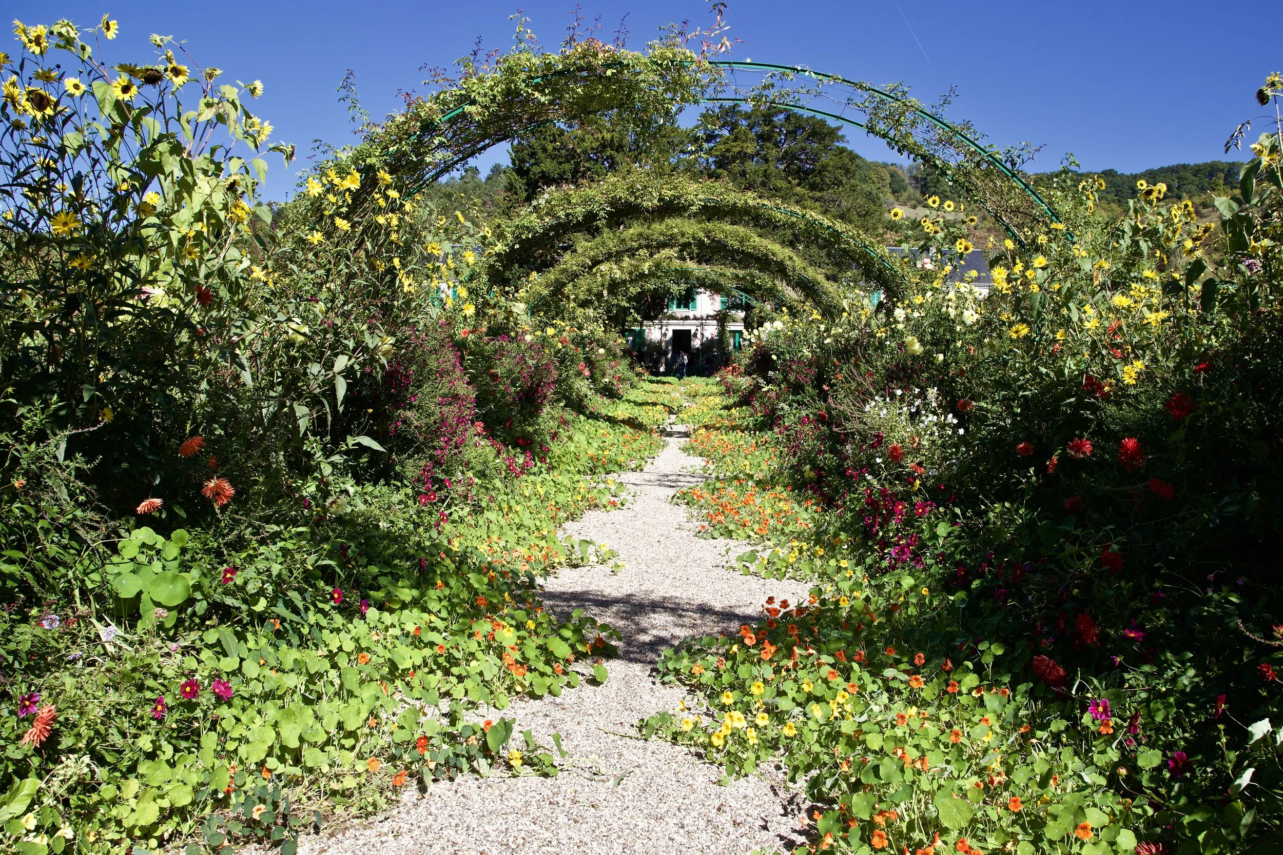 Monet’s Garden - Looking Toward His House