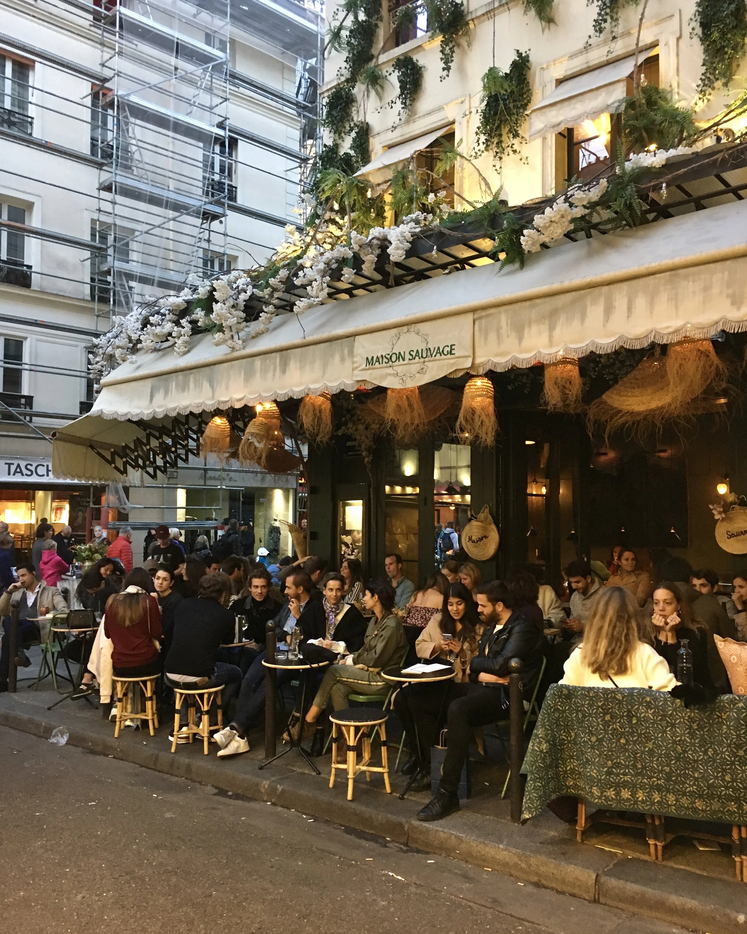 Cafe Society