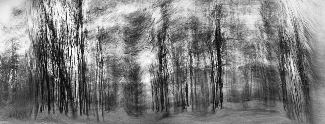 0103-16-21%2B%2317%2BWhispering%2BTrees%2C%2B2001_.jpg