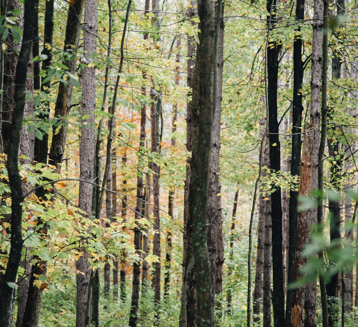 20141006_3781.jpg