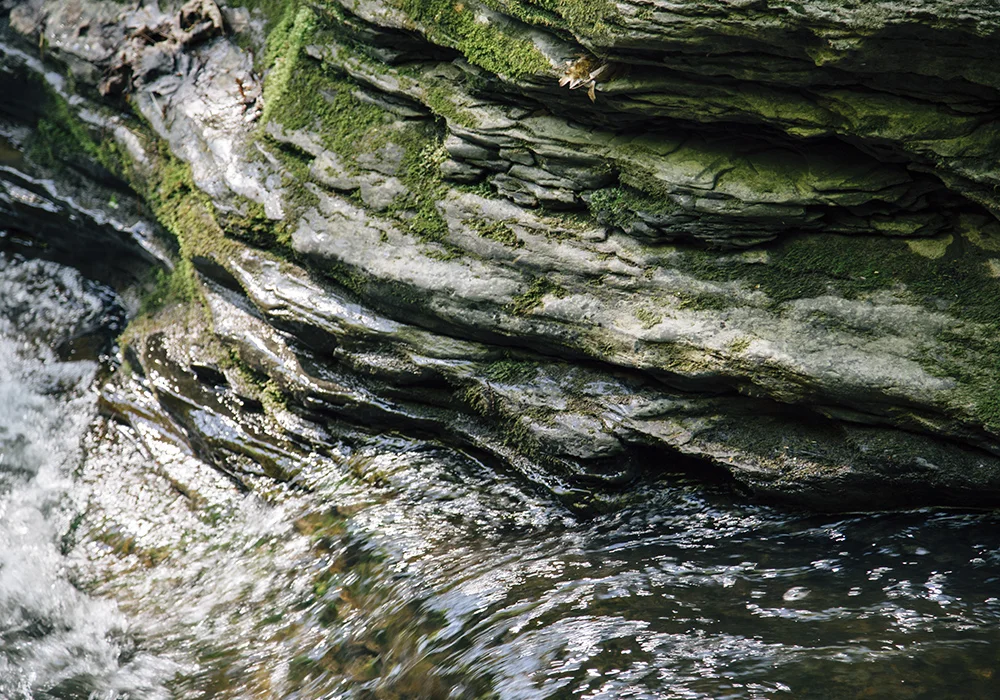 20150529_6984.jpg