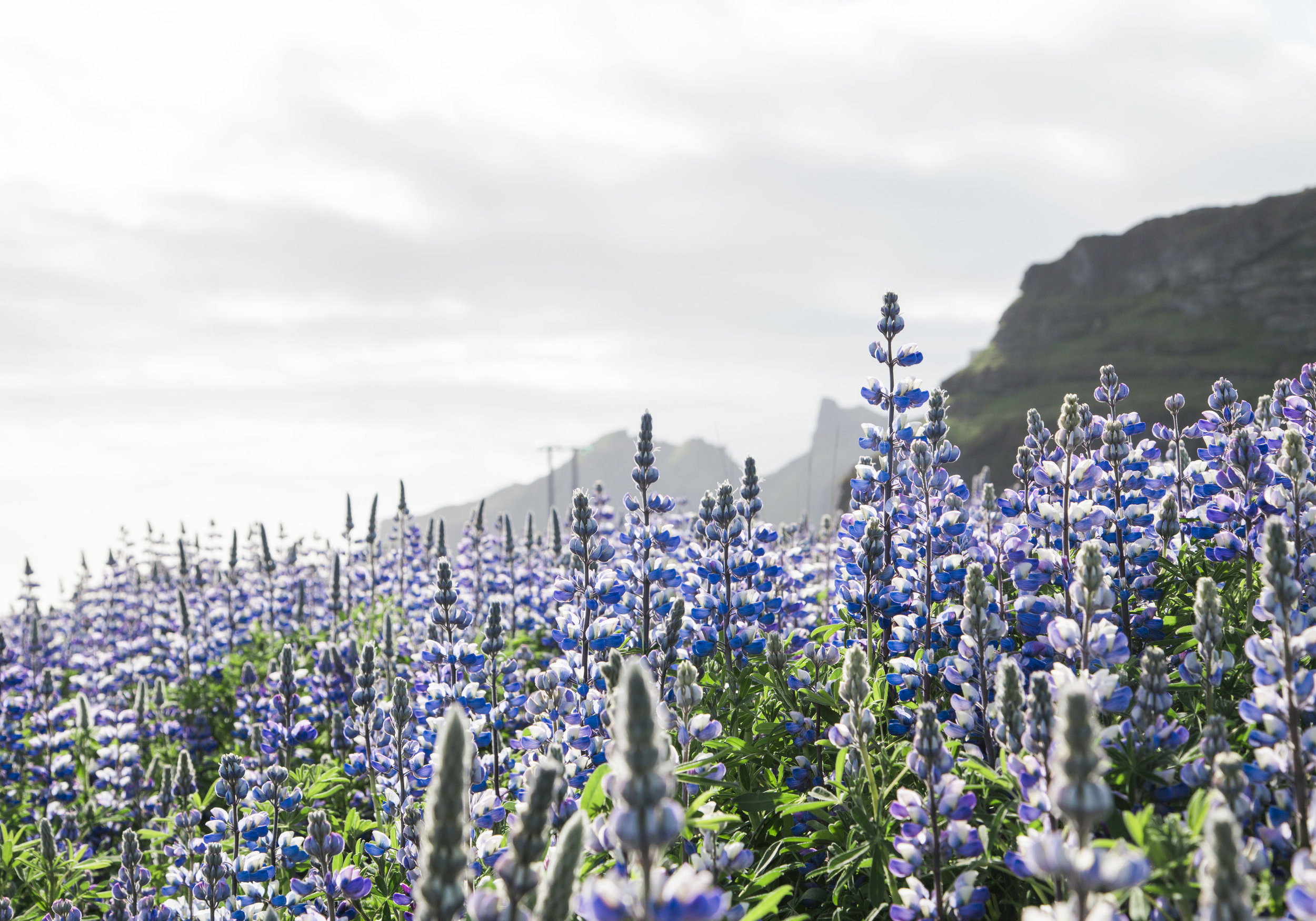 Embracing The Place: How A Change Of Location Can Open Creativity's Doors