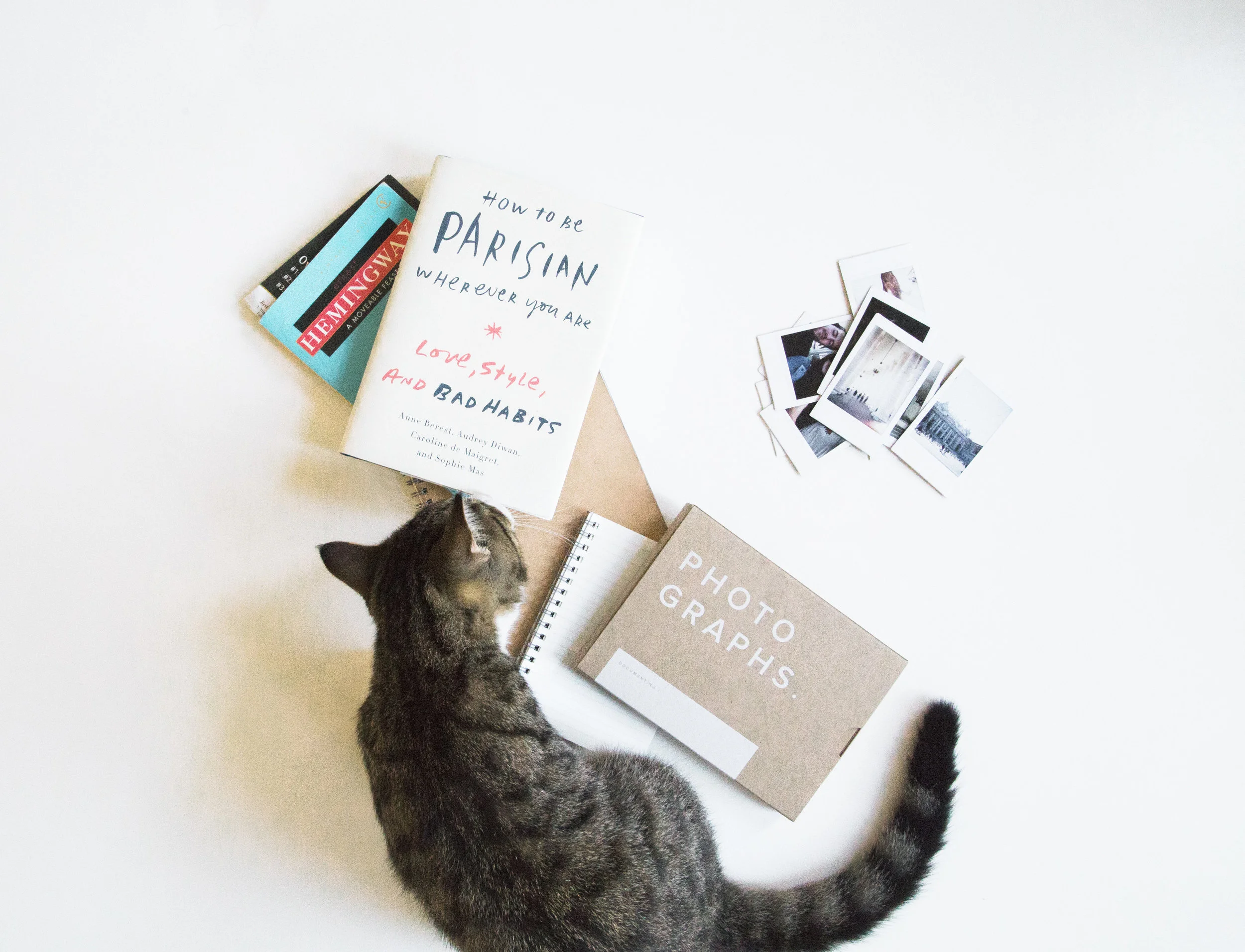 Living Worldly: Finding The Wide World In Your Local Area