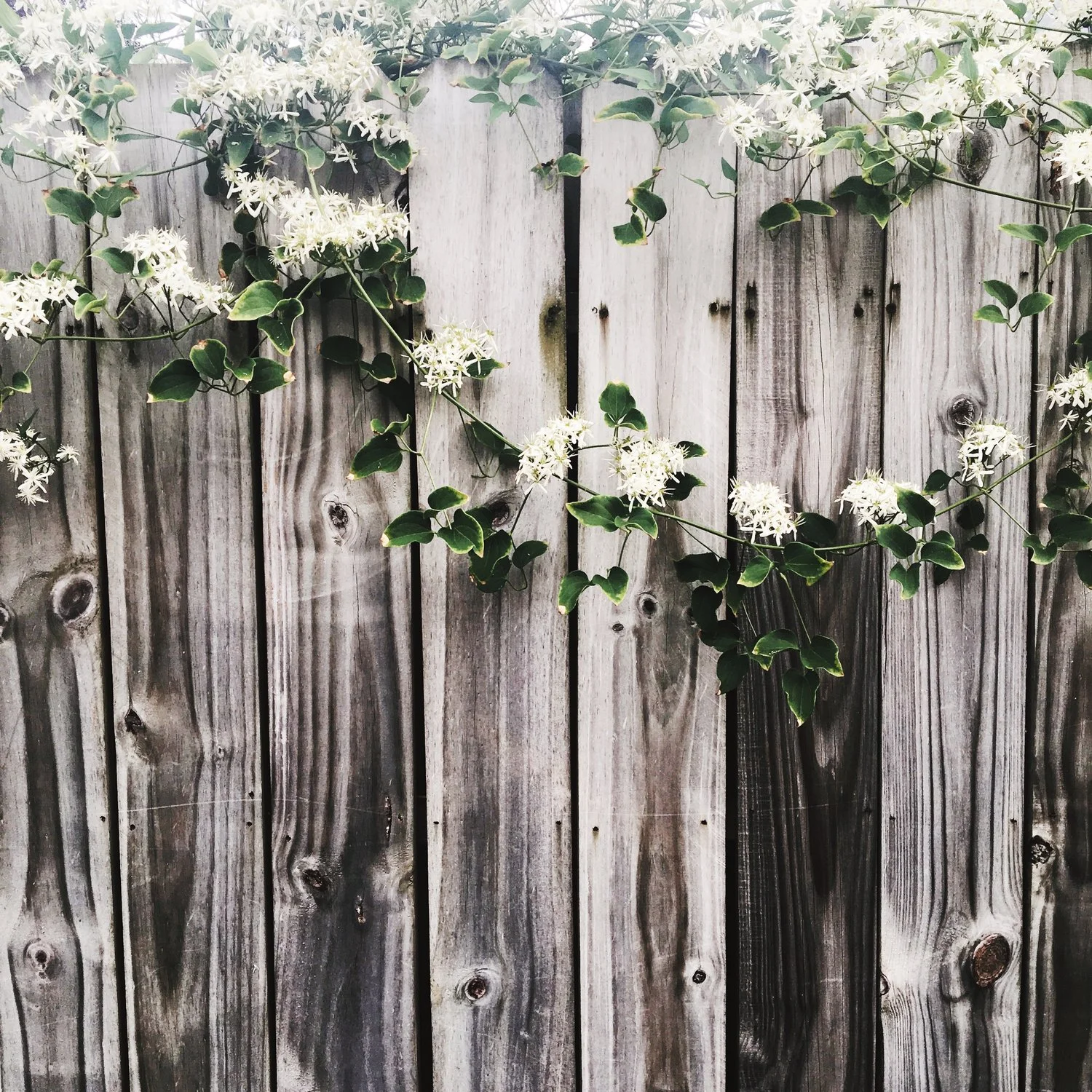 Why Is It That Spring Always Reignites Our Creativity?