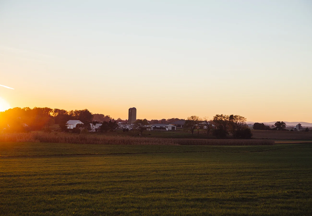 Autumn In The Northeast: Four Simple Ideas For Appreciating Fall This Year