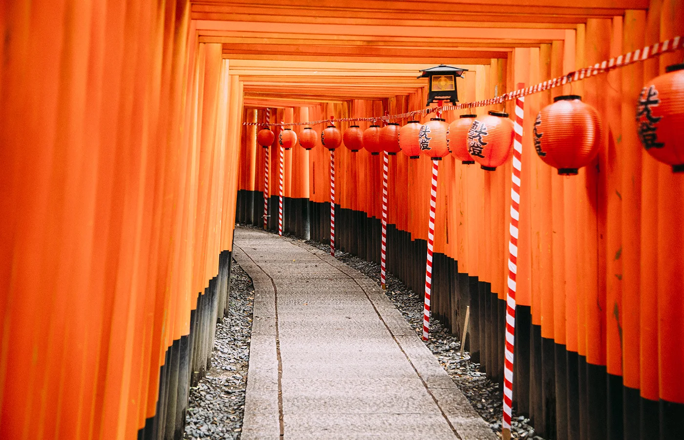 A Sea Of Orange: Exploring The Fushimi Inari Torii Gates