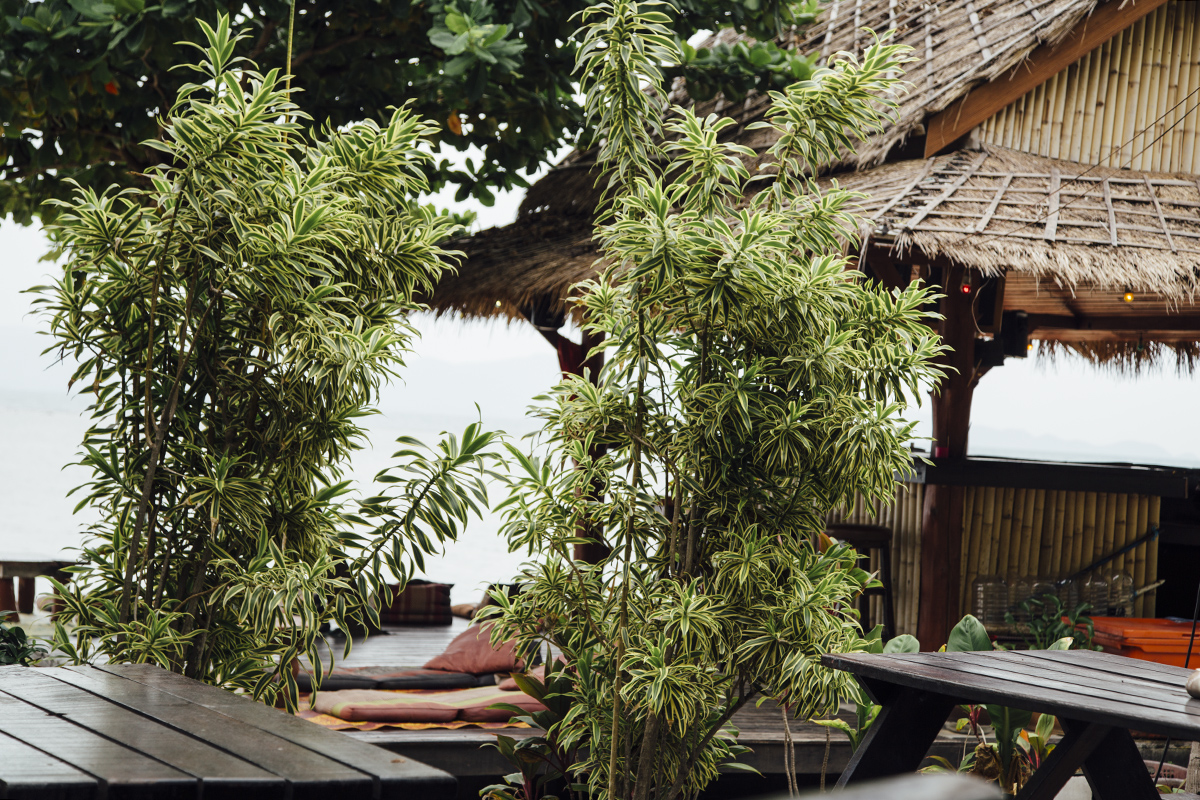 Island Hopping In Southern Thailand