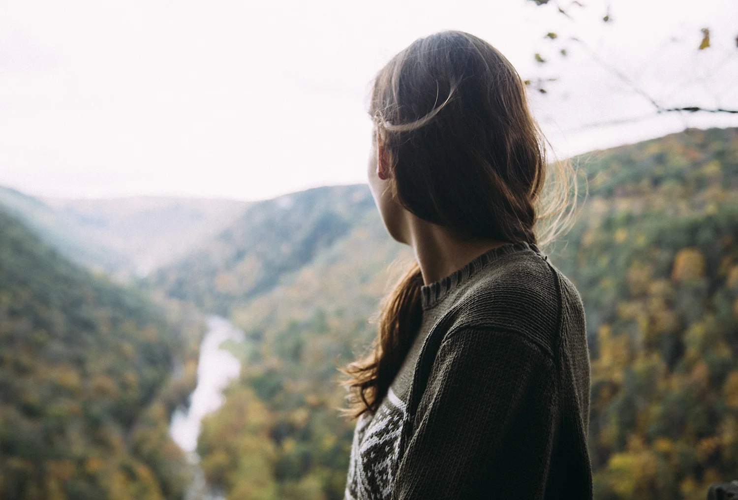 The Local Adventurer