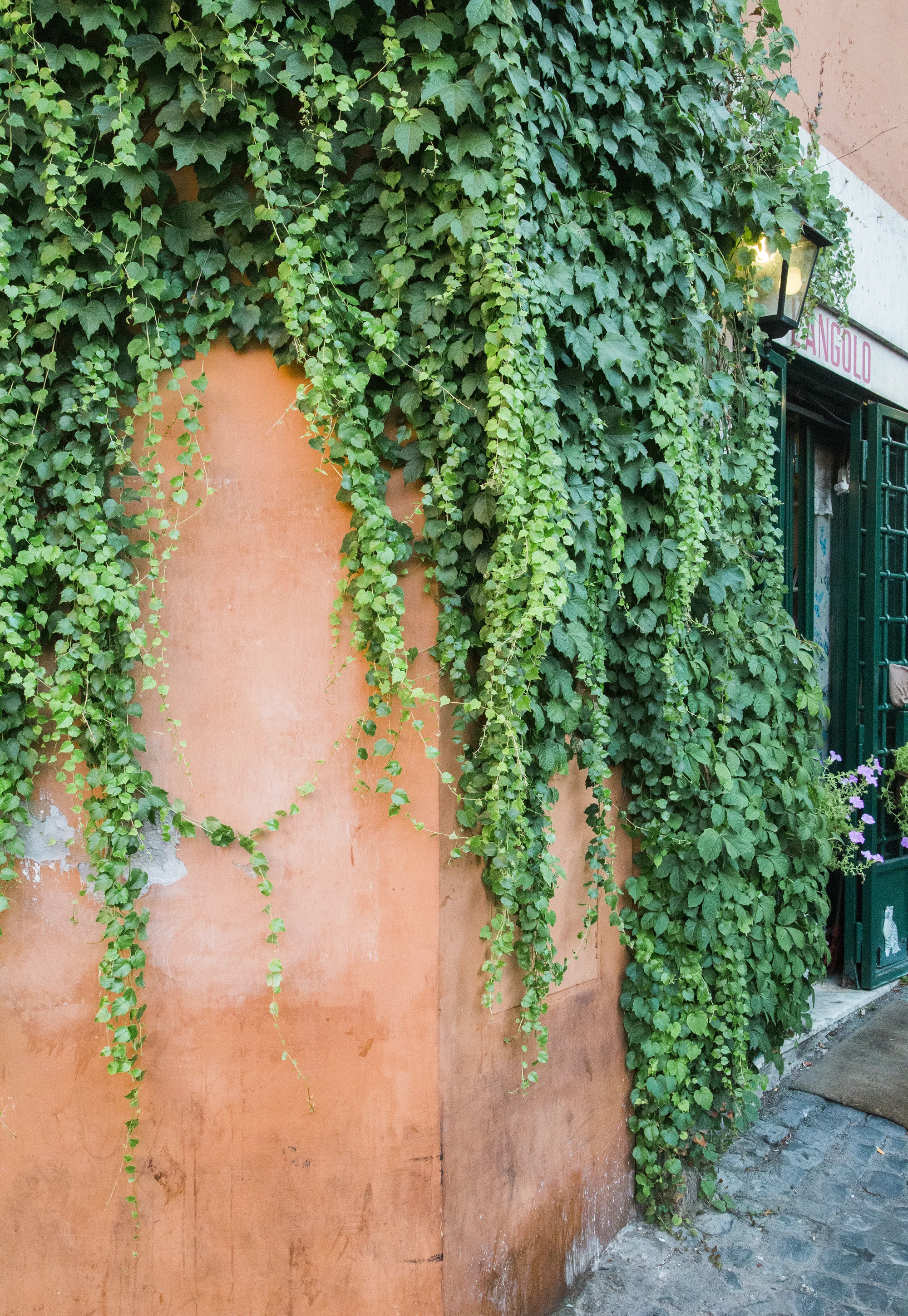 Italy_0055.jpg