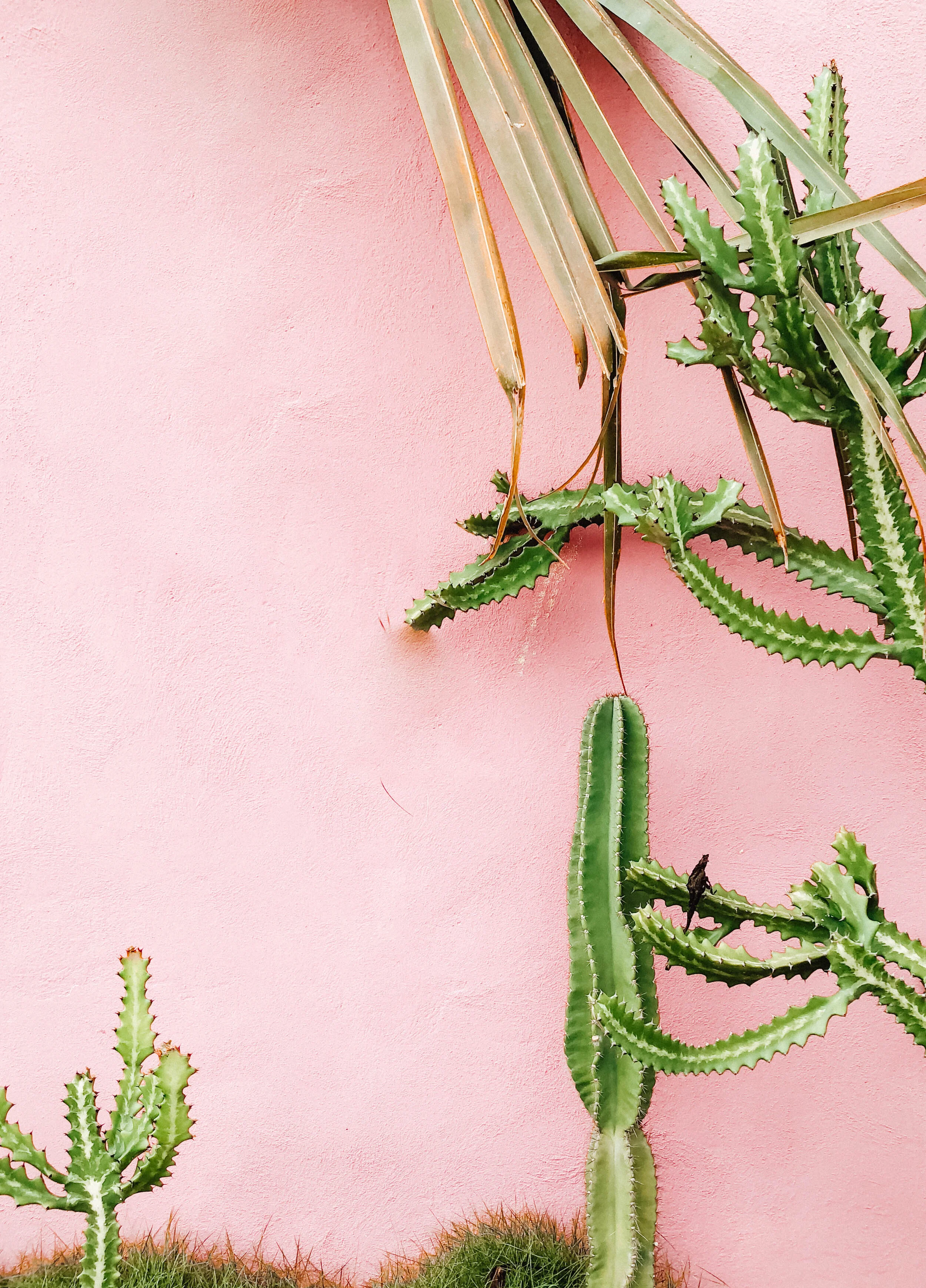 12 Tips For Planning A Slow Travel Adventure