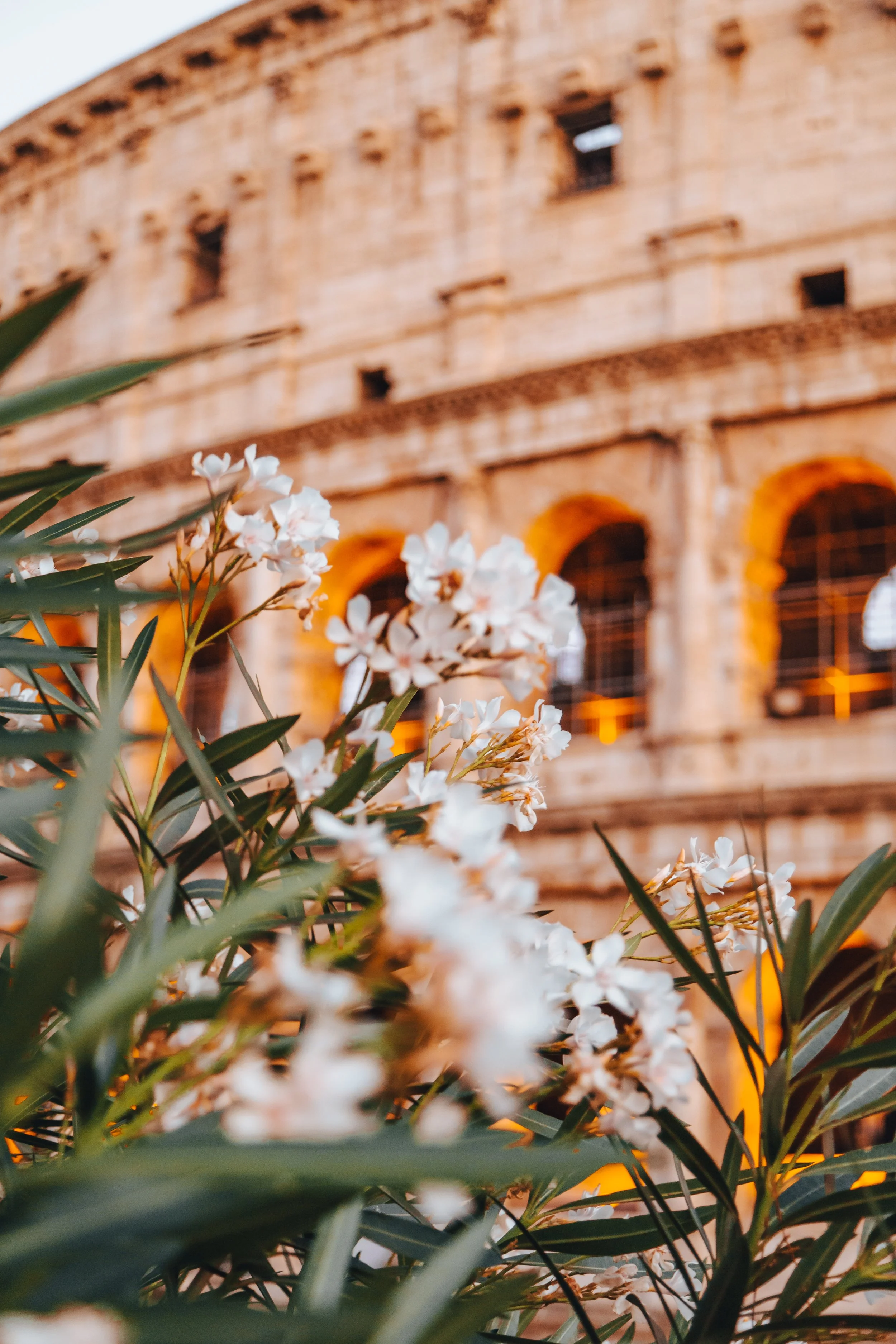 Why You Should Make A Pre-Travel Bucket List